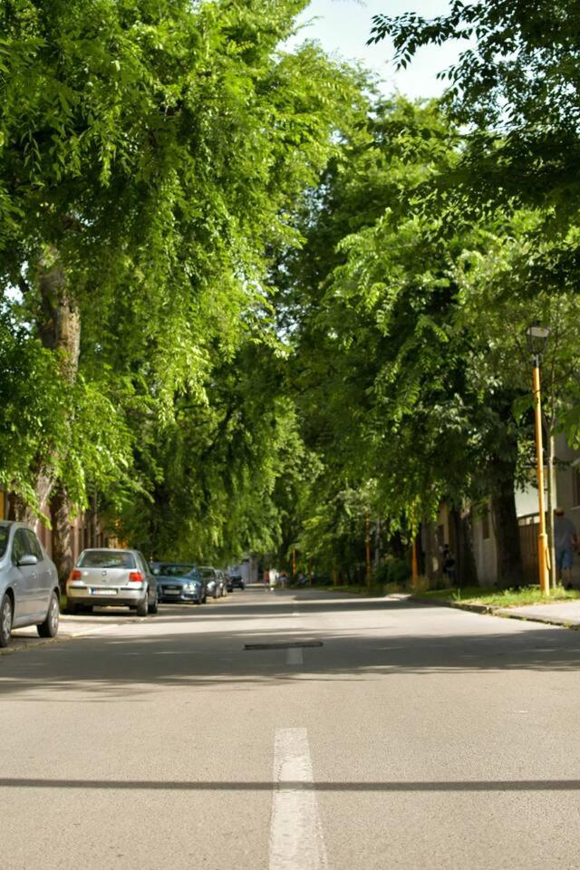 Apartman Centar