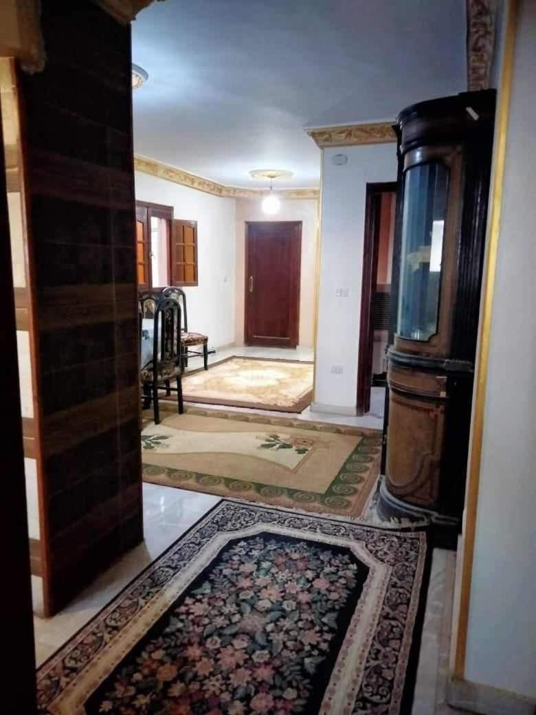 Fully furnished apartment views the Pyramids