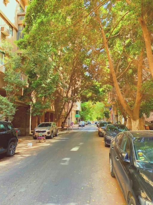 Zamalek Vintage Gem - Property Image 5