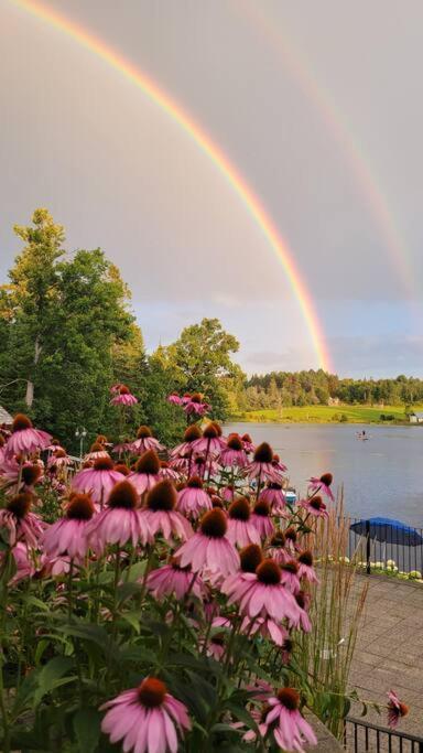 Waterfront, dream stay at Belle Vue Cottage