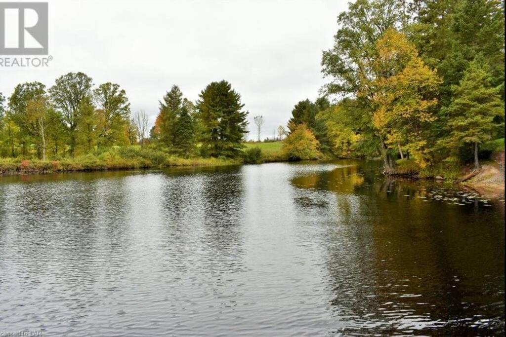 Waterfront, dream stay at Belle Vue Cottage