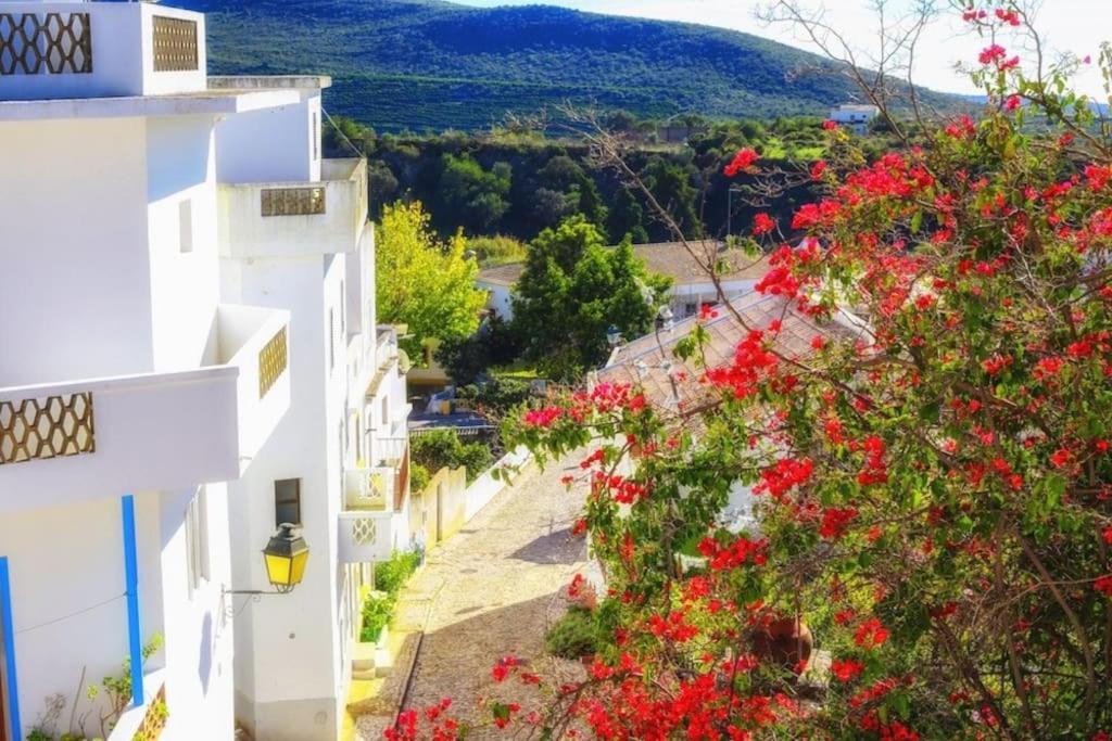 Casa Cecilia Apartment Algarve