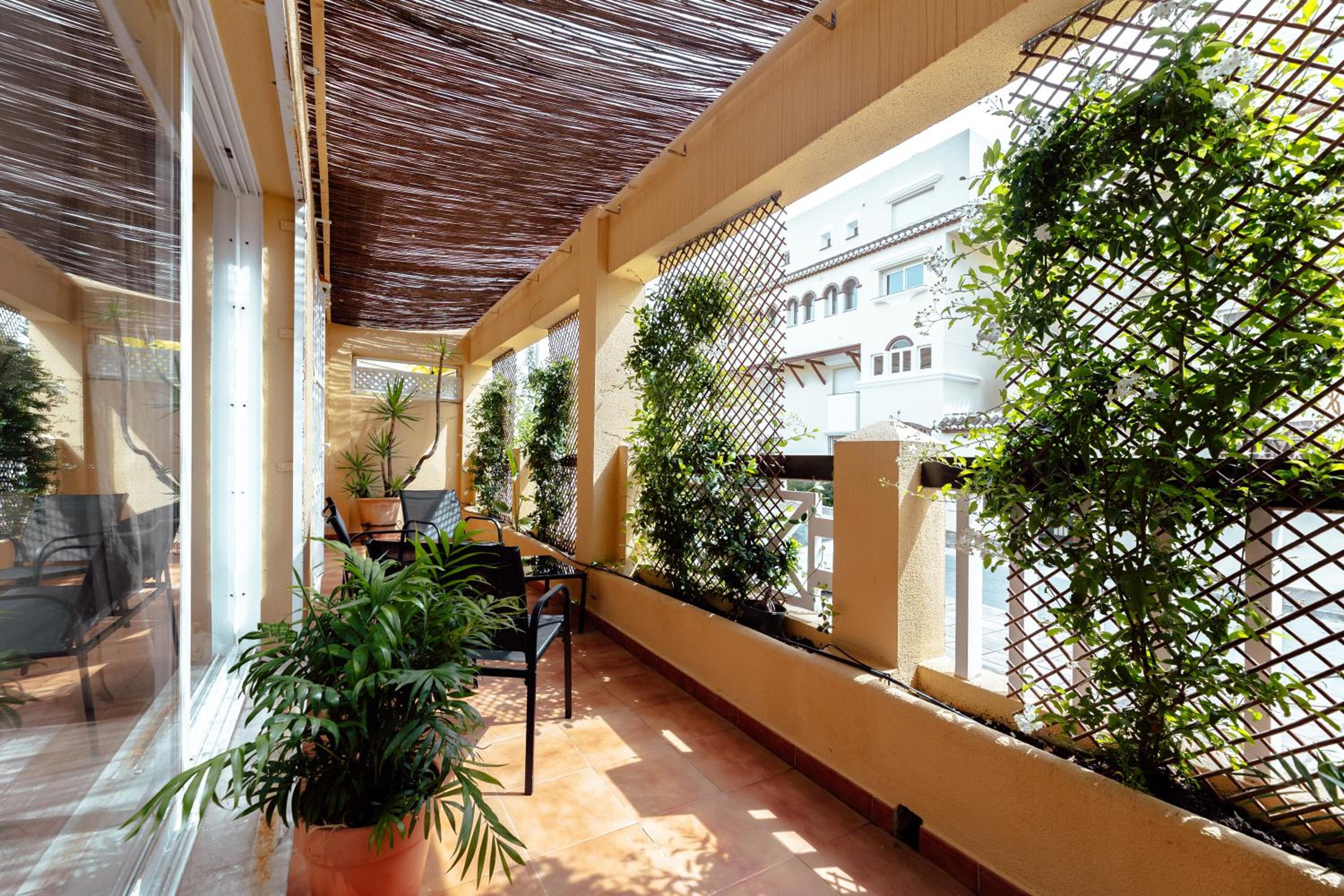 Elviria beach