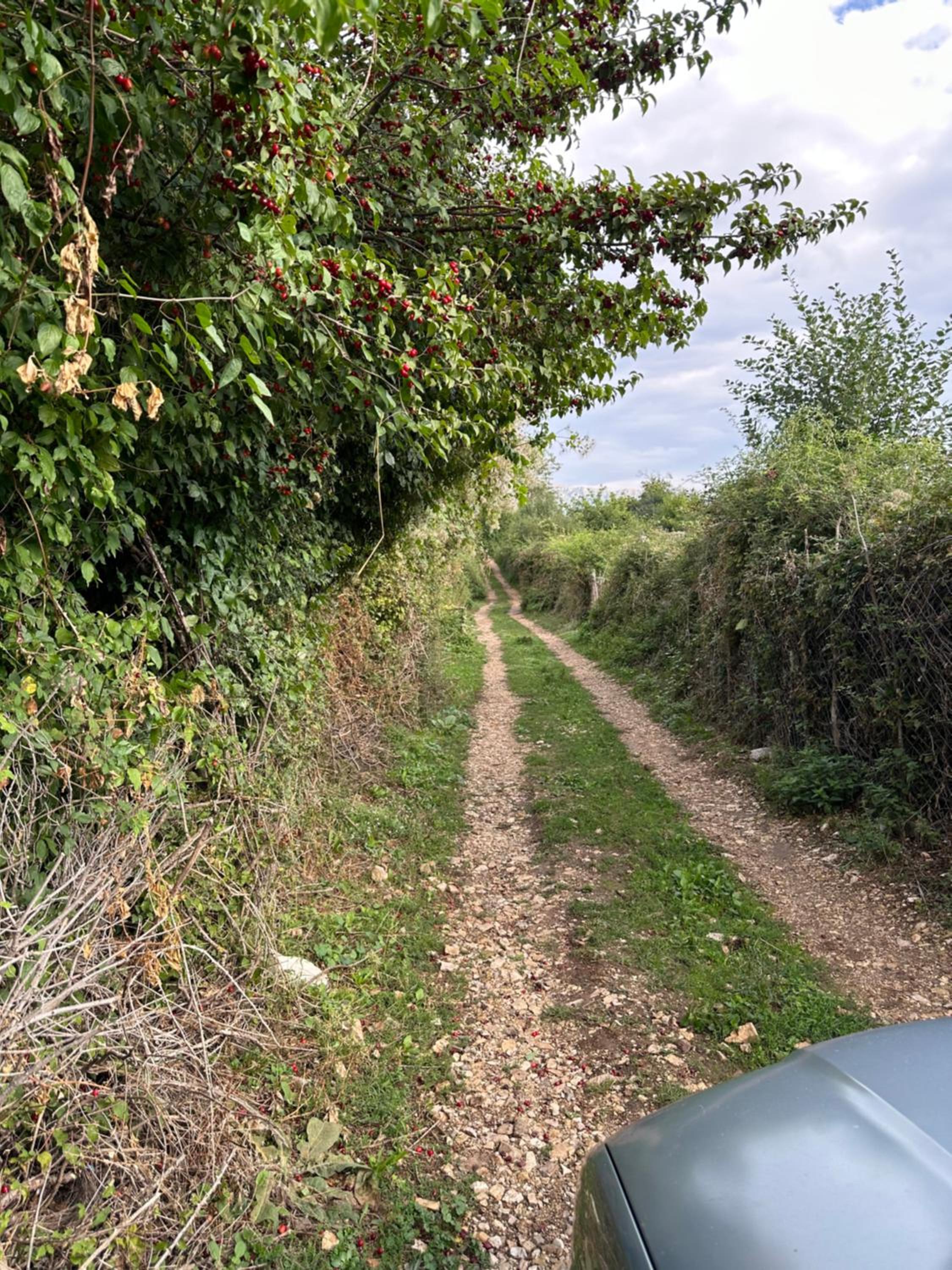 other