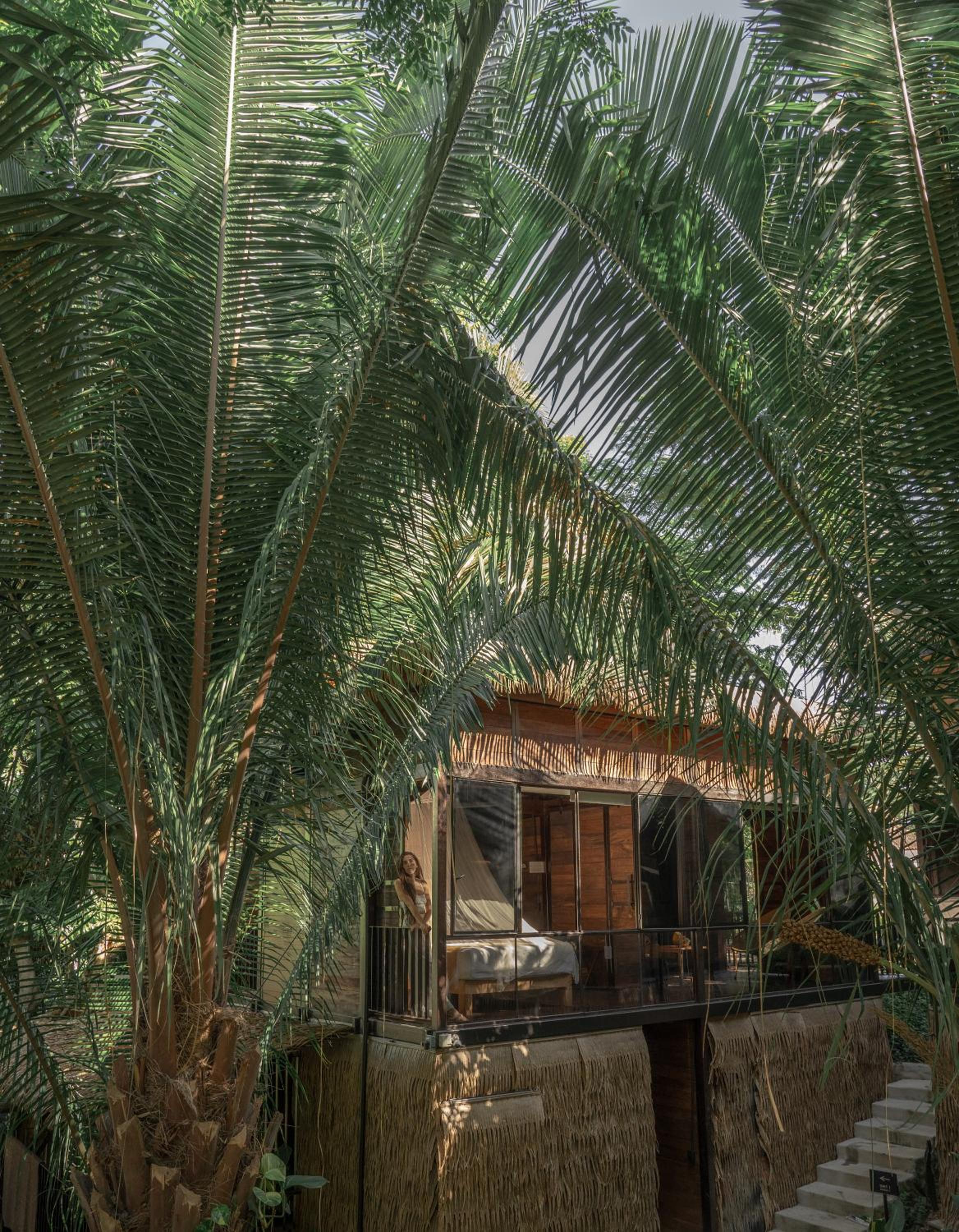 Casa Selva Sayulita - main view