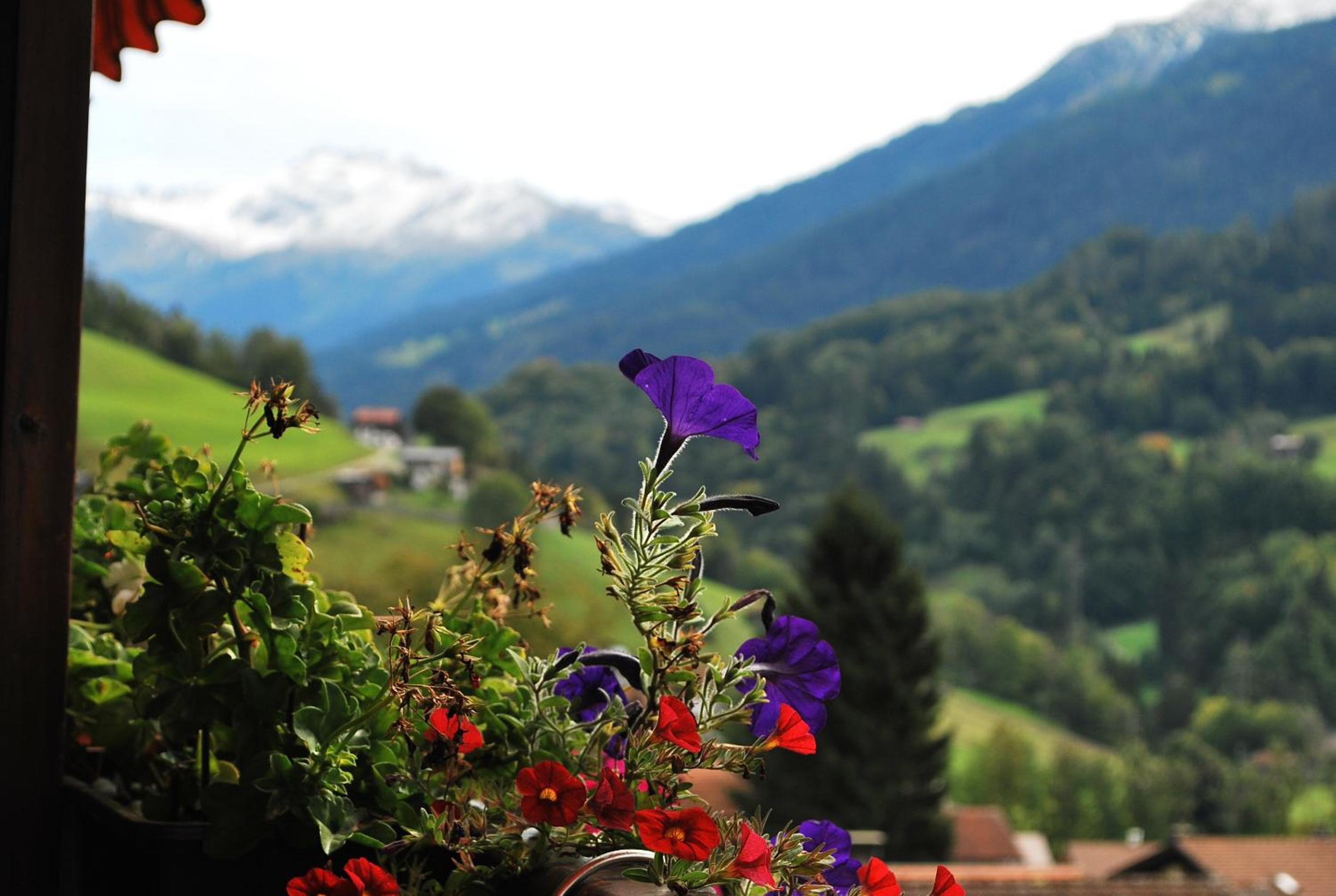 Apartment with balcony and Panoramic Views of Alps
