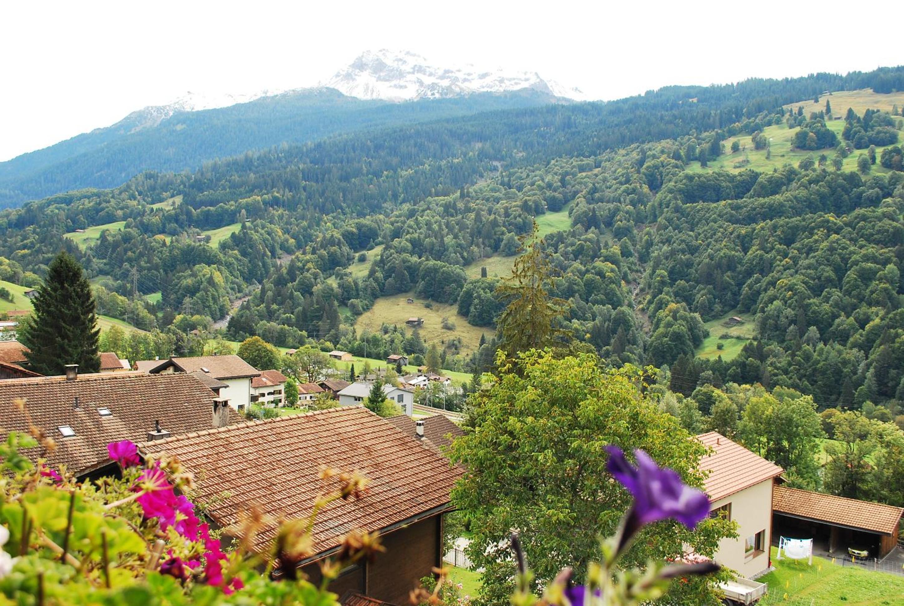 Apartment with balcony and Panoramic Views of Alps