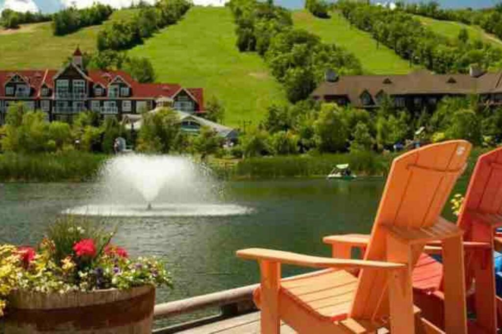 Beautiful Cottage at The Blue Mountain