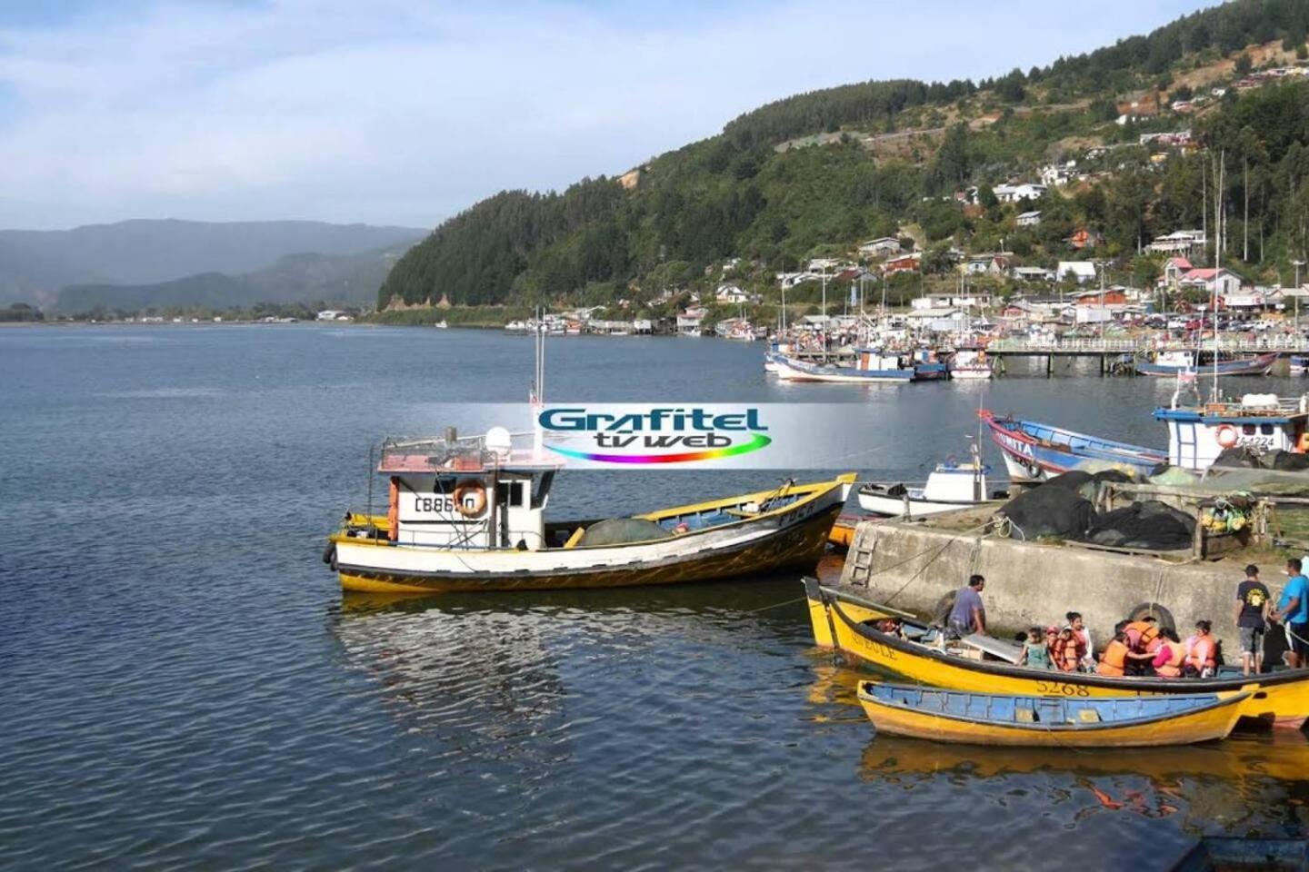 Cabaña Queule