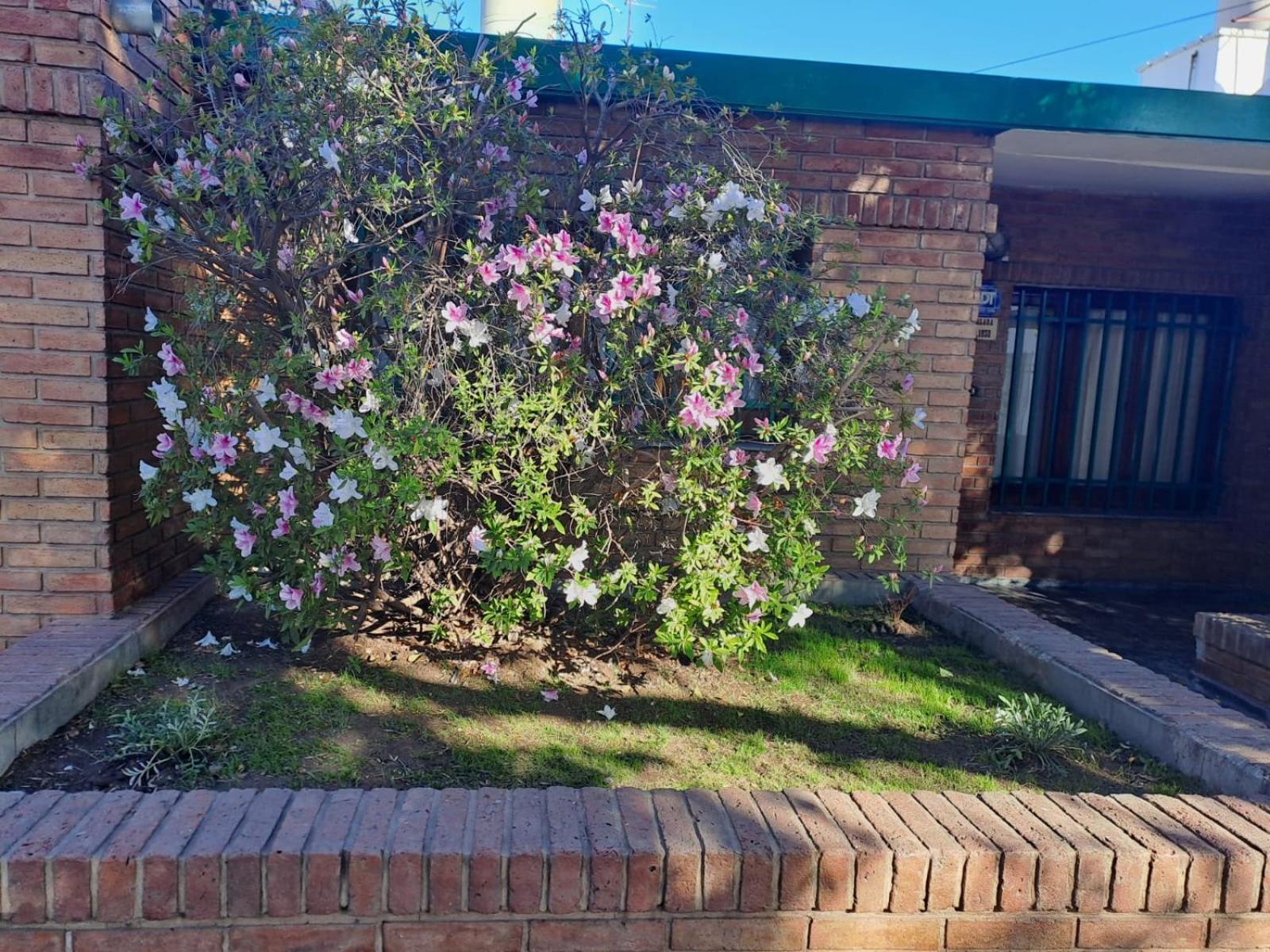 Casa La Nona 5 personas con patio y quincho