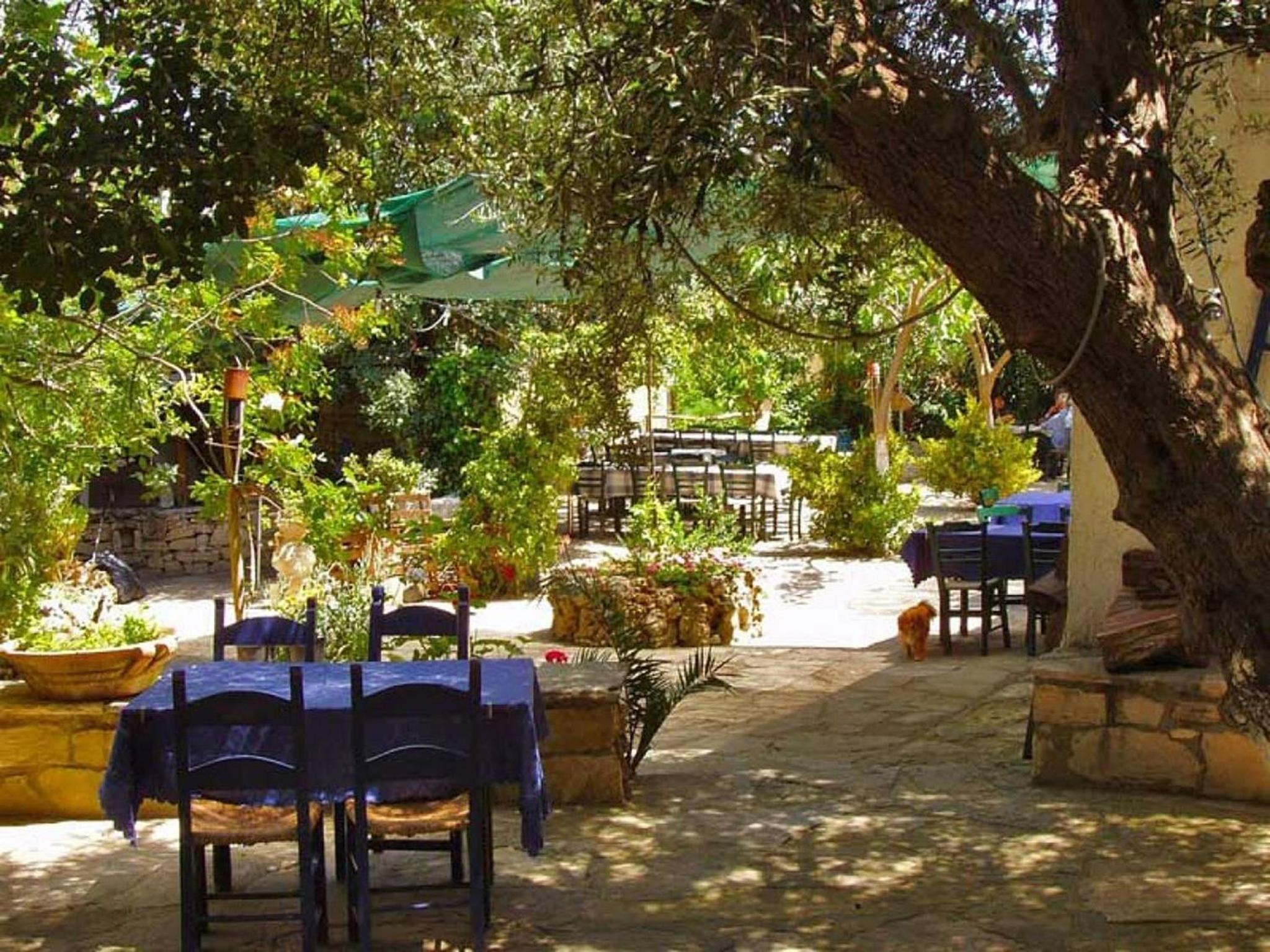 Group accommodation in Crete separate houses view 4