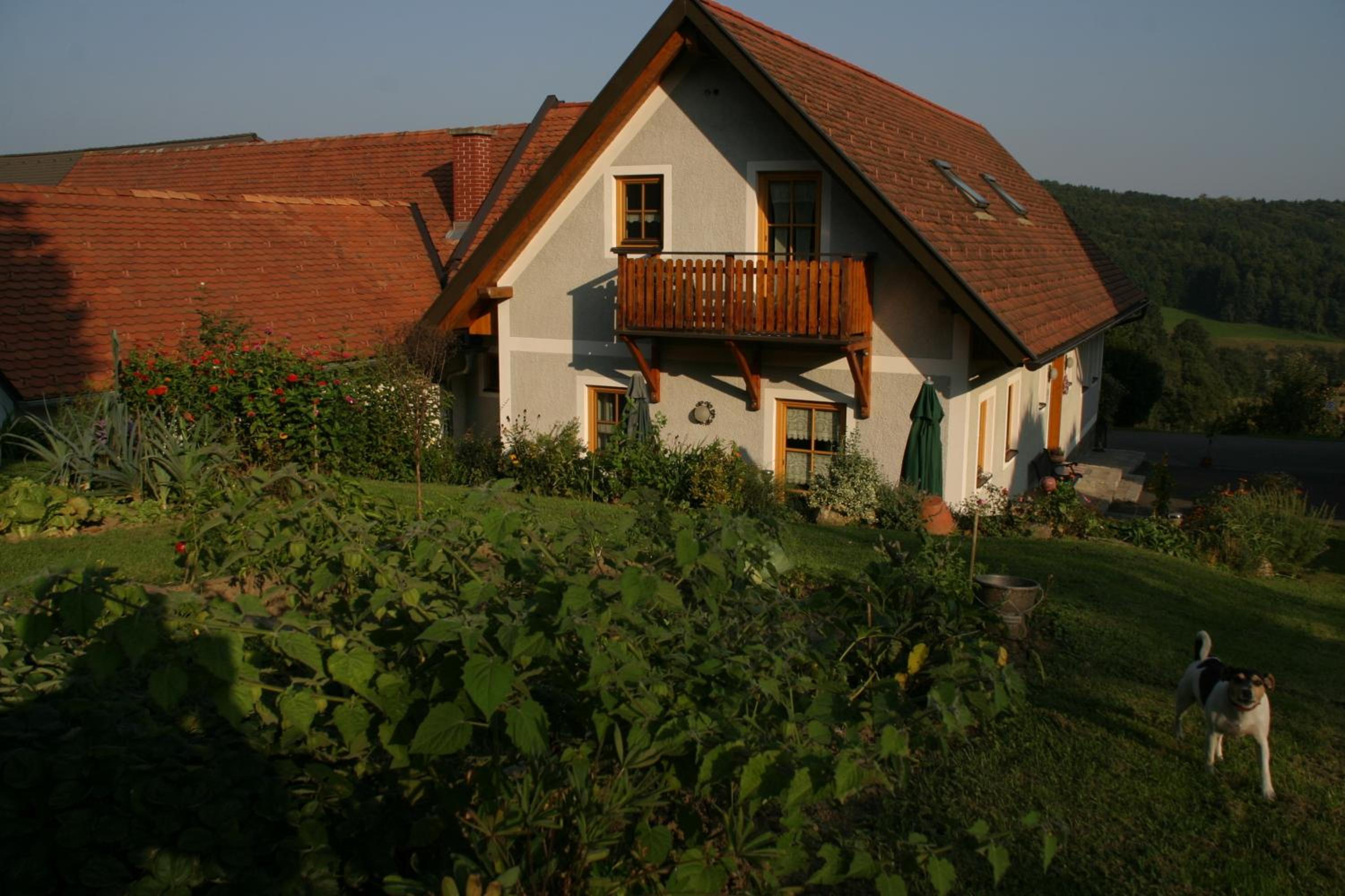 Photo 43