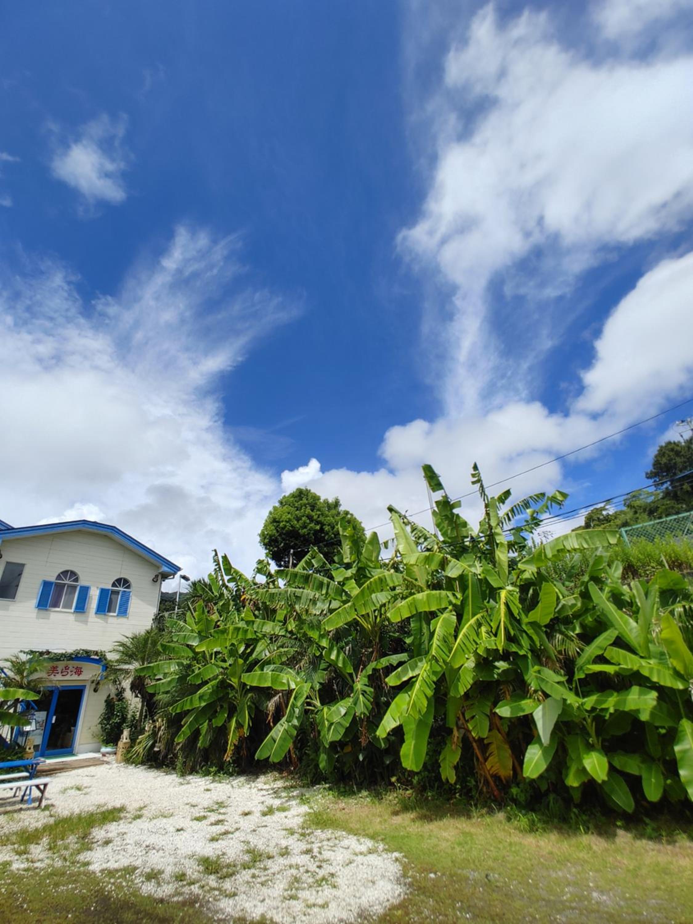 Guest House Churaumi