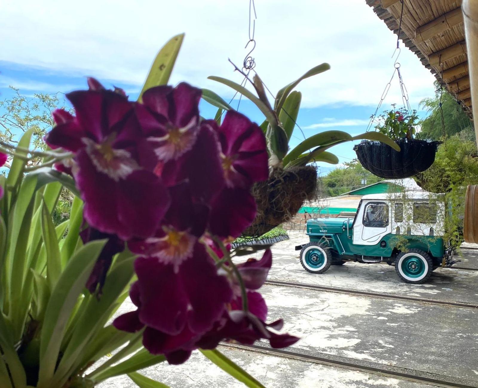 Finca Cafetera Madrigal - Café Sortiz