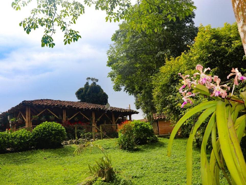 Finca Cafetera Madrigal - Café Sortiz
