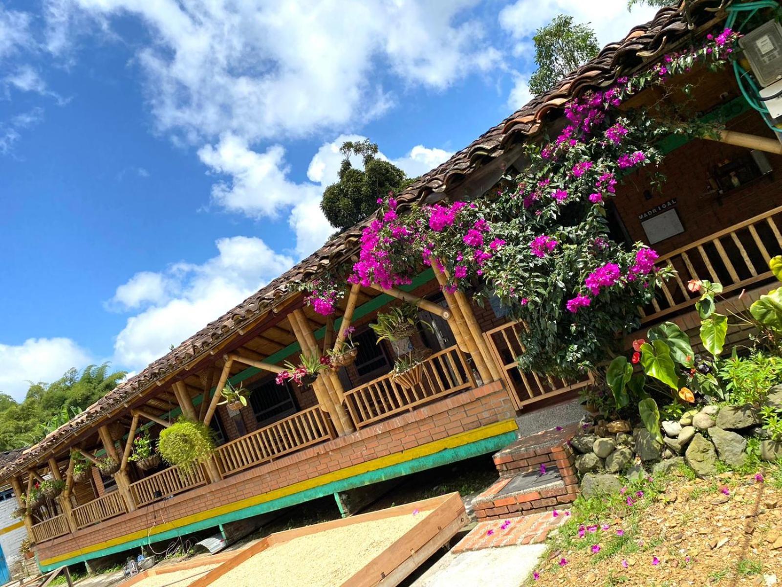 Finca Cafetera Madrigal - Café Sortiz