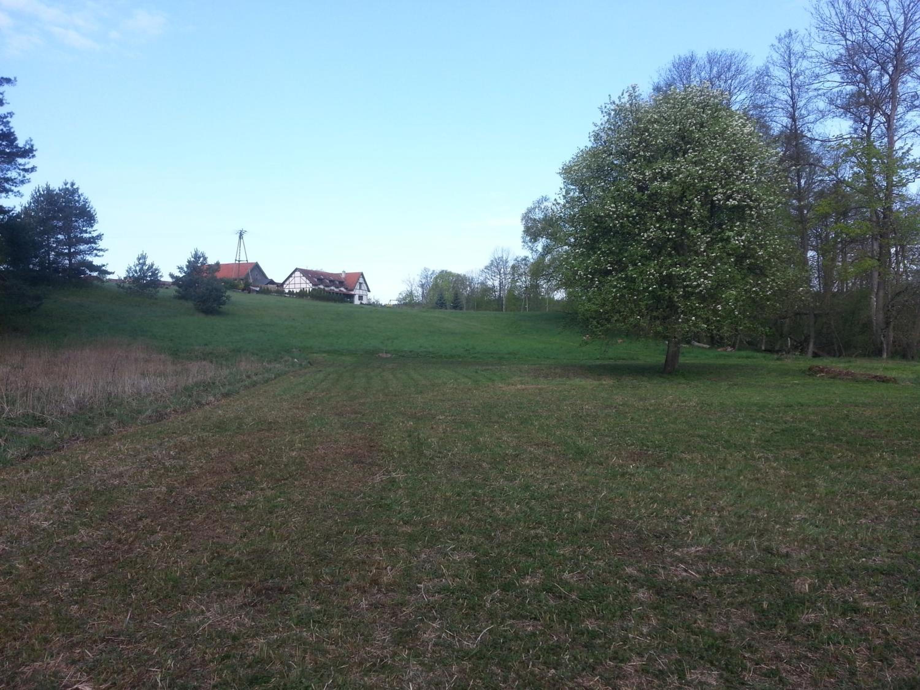 Photo 38