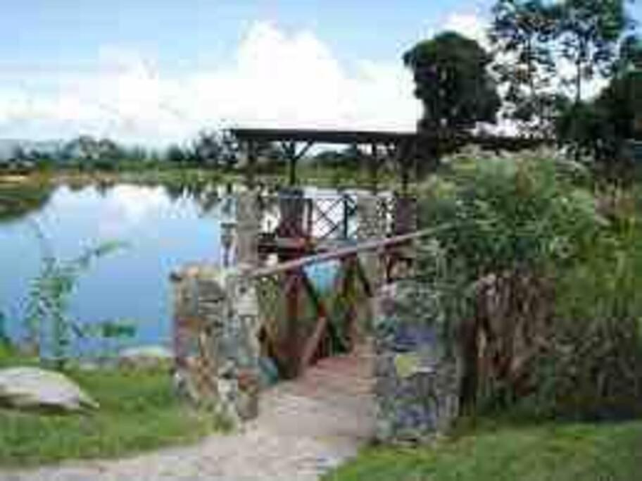 Photo 15