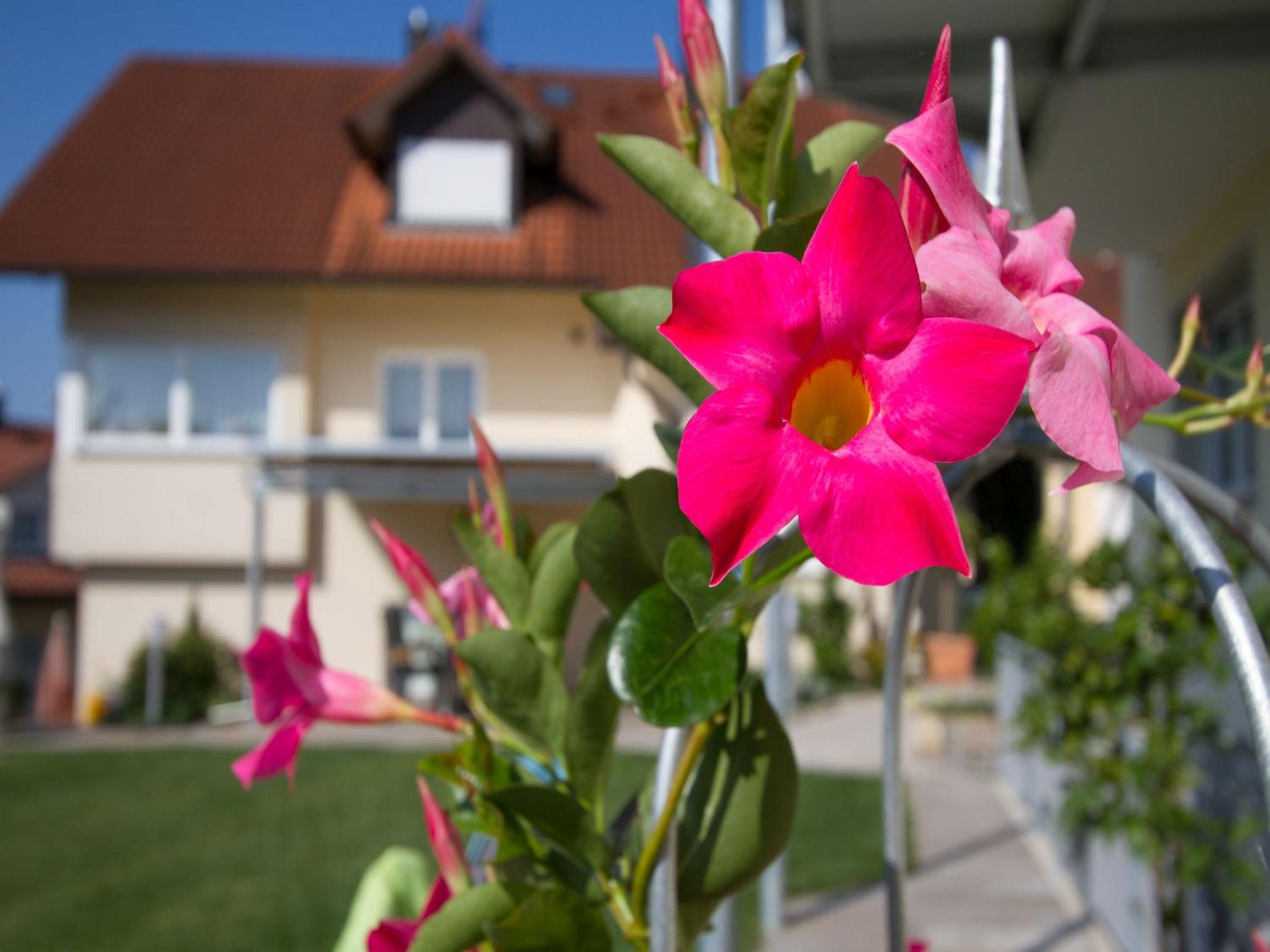Obst- Und Ferienhof Witzigmann