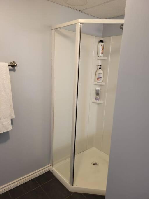 Private basement apartment