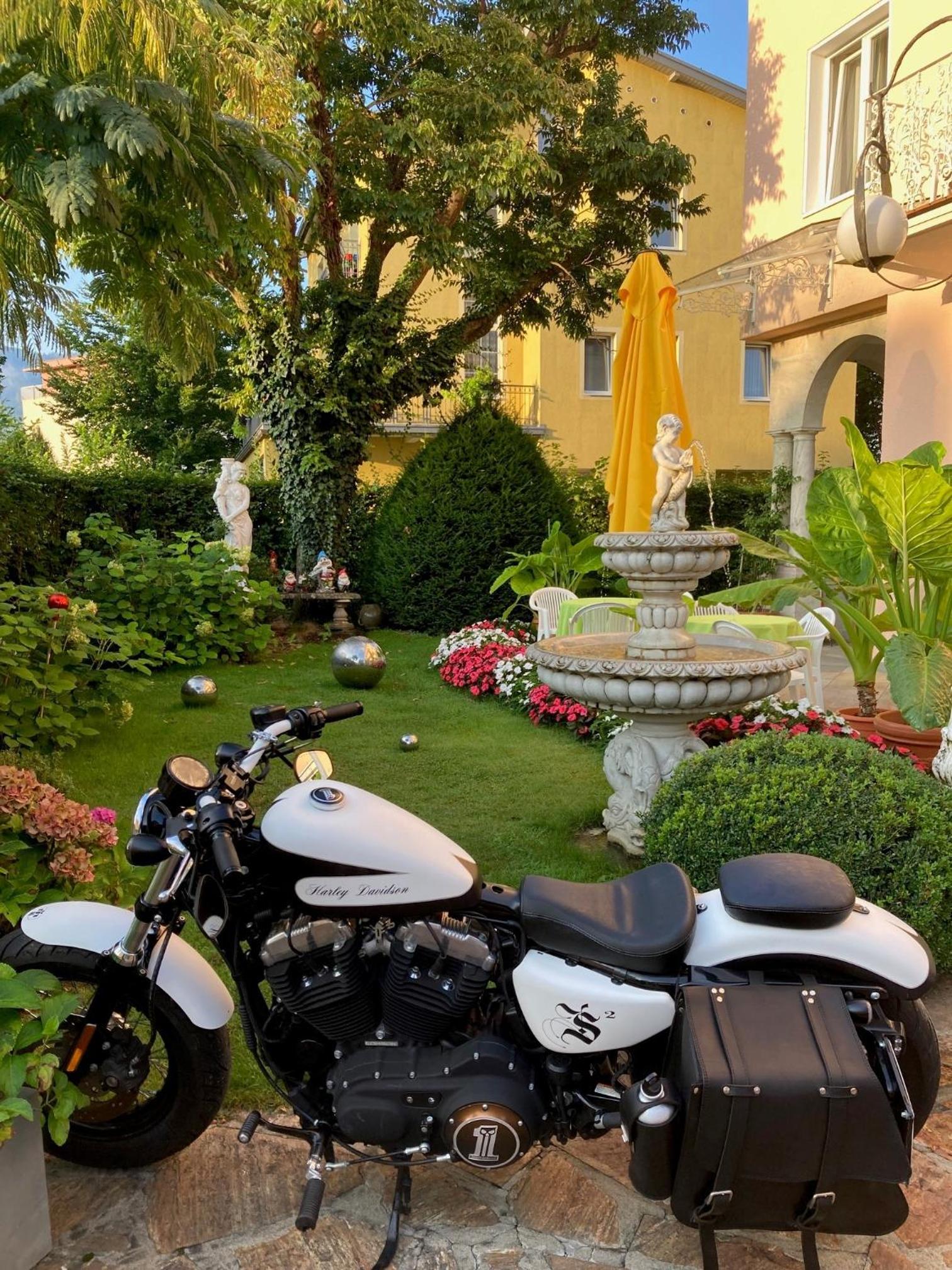 garden