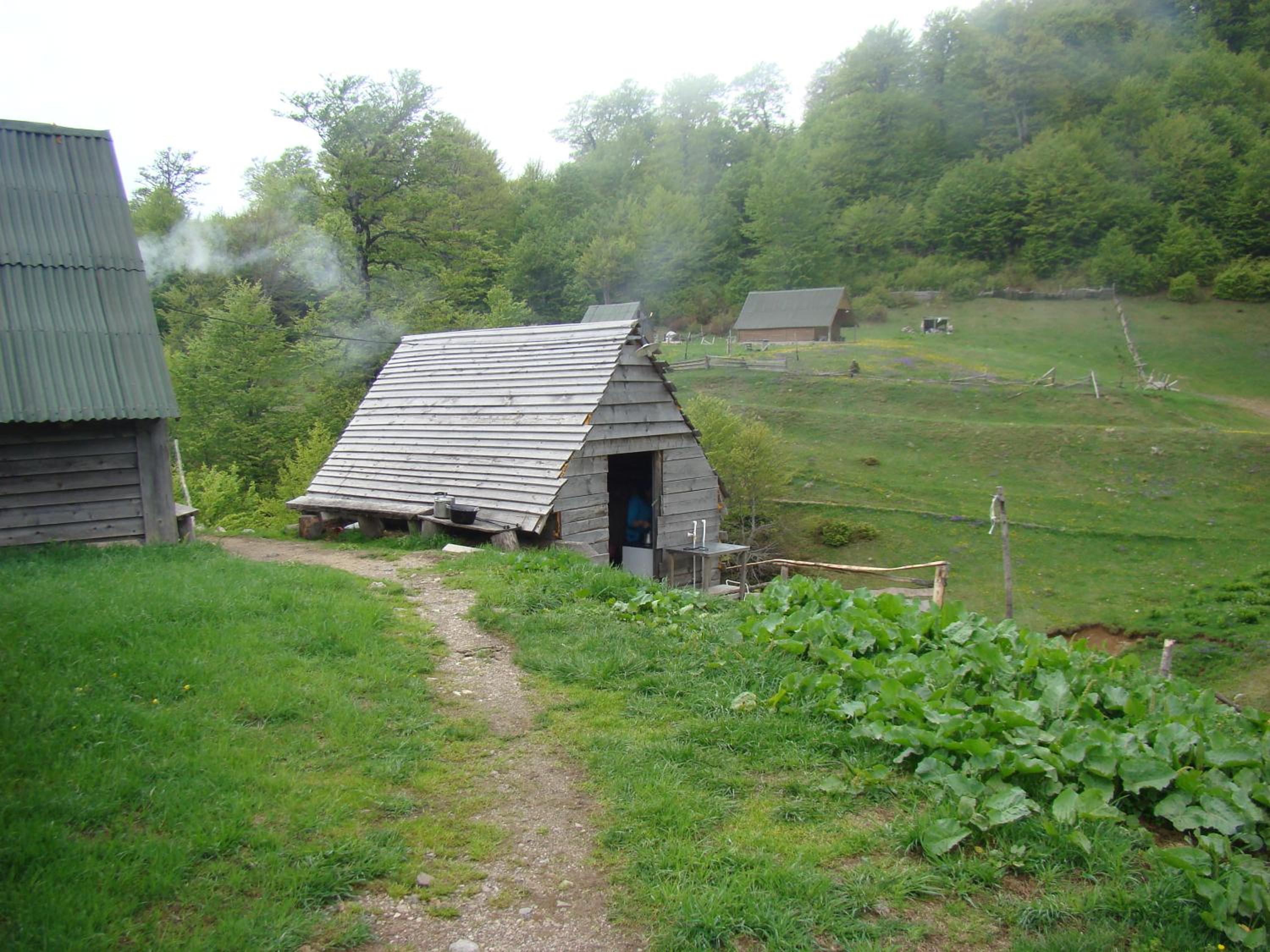 Photo 24