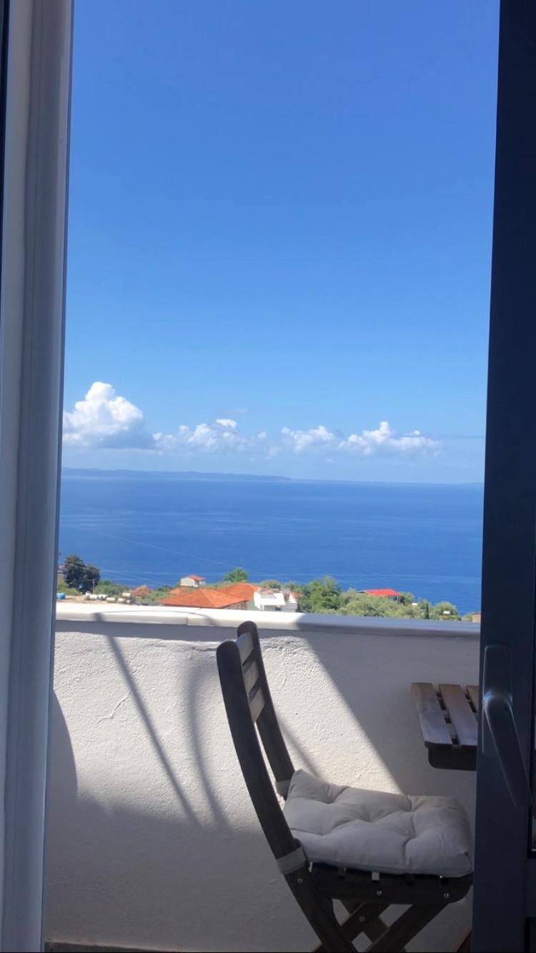 Blue Paradise Apartment