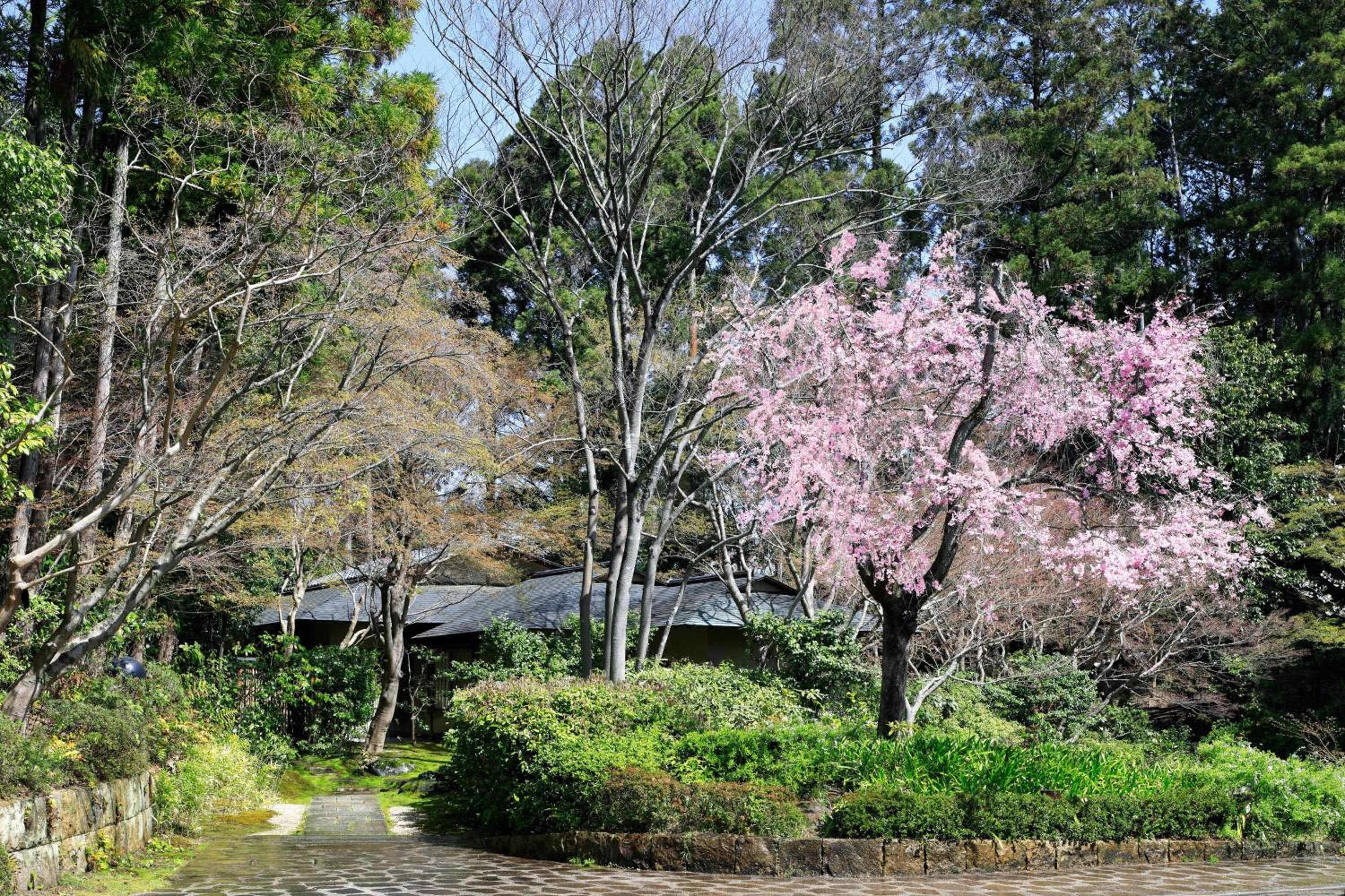 The Prince Kyoto Takaragaike, Autograph Collection 93