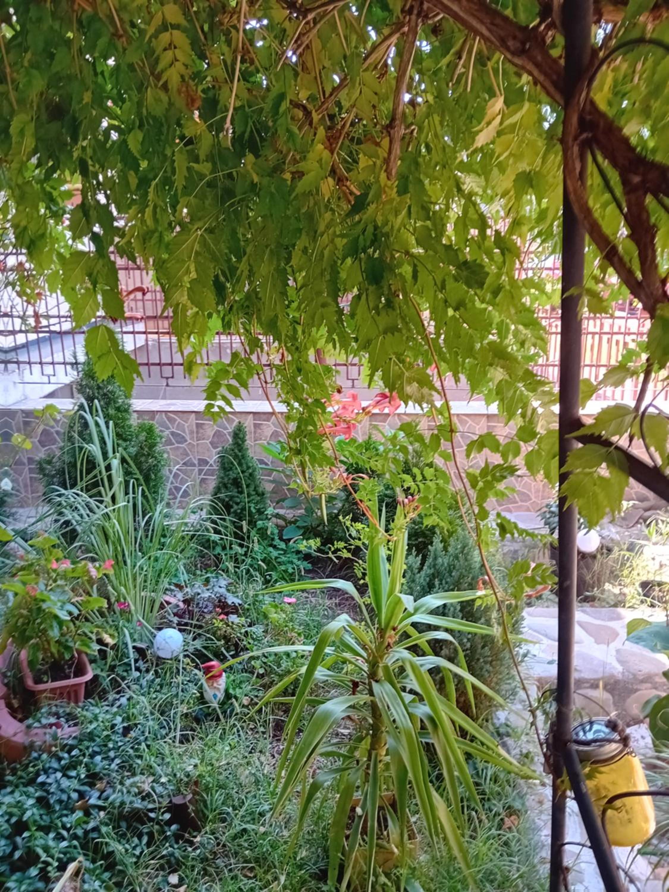 Apartament cu 2 dormitoare și terasa Valentin, Iulius Mall view 2