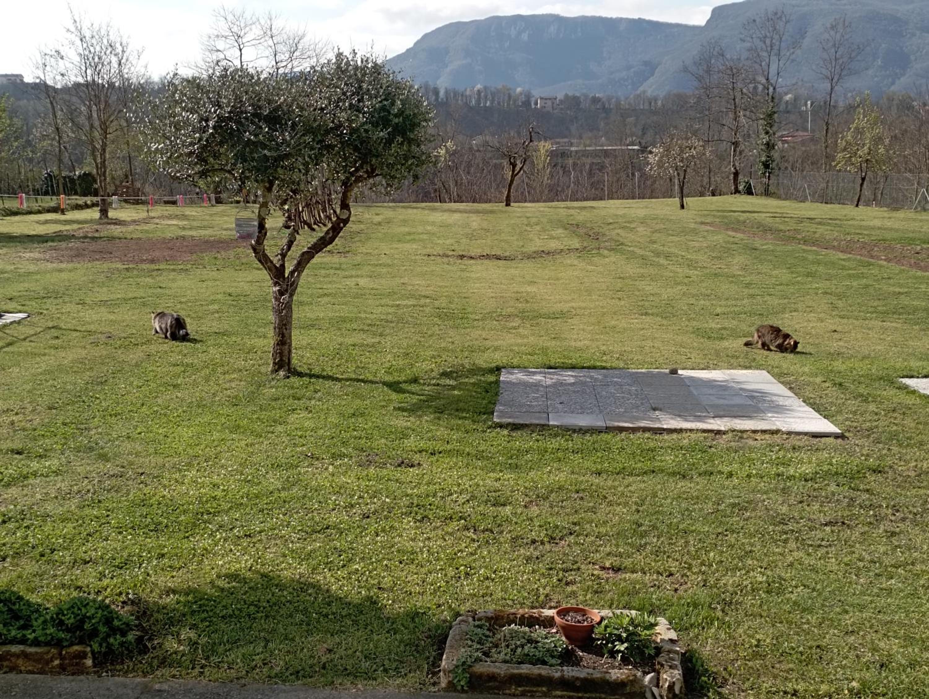 Affittacamere La Foresta di Sopra