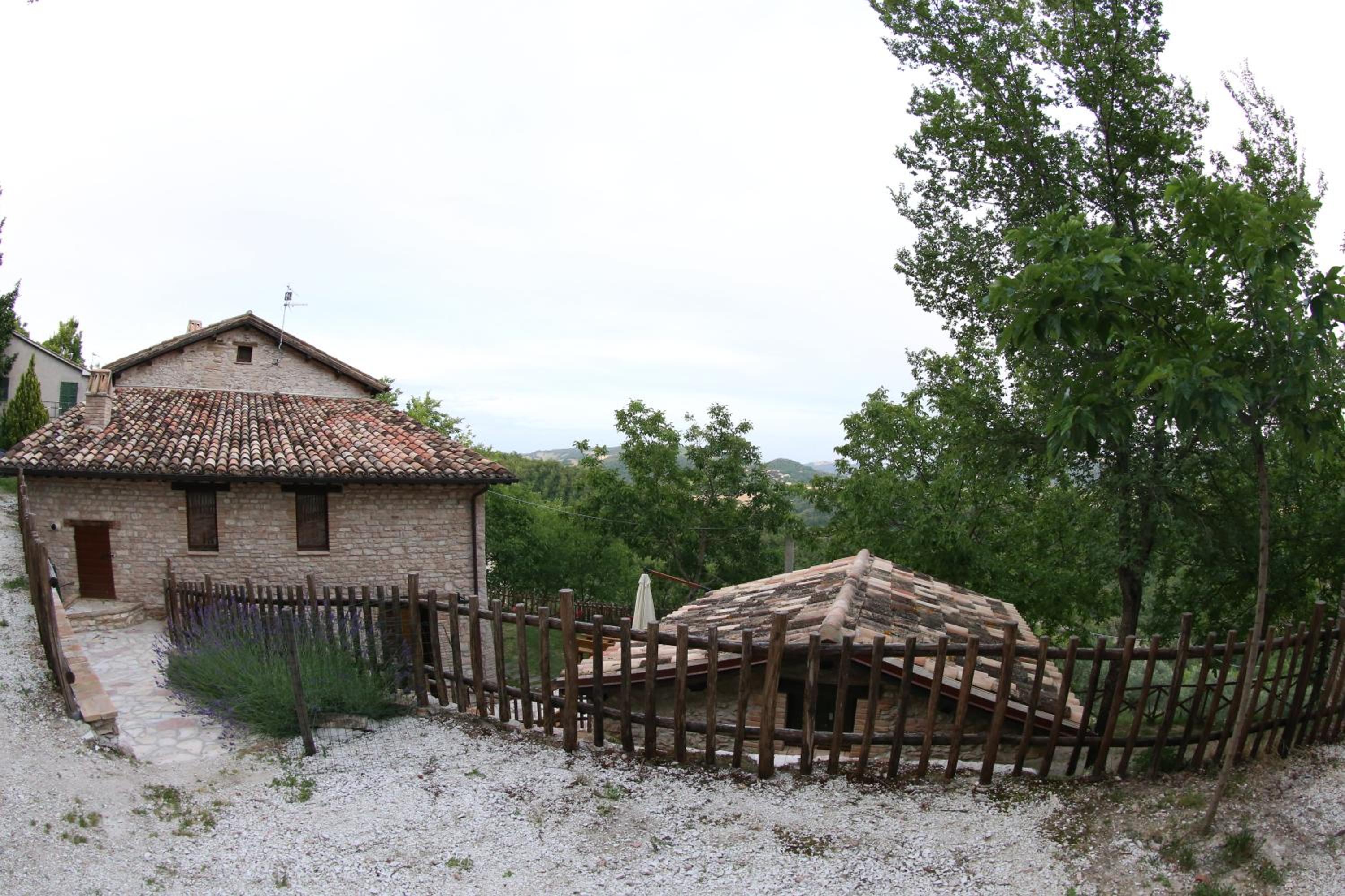 Photo 28