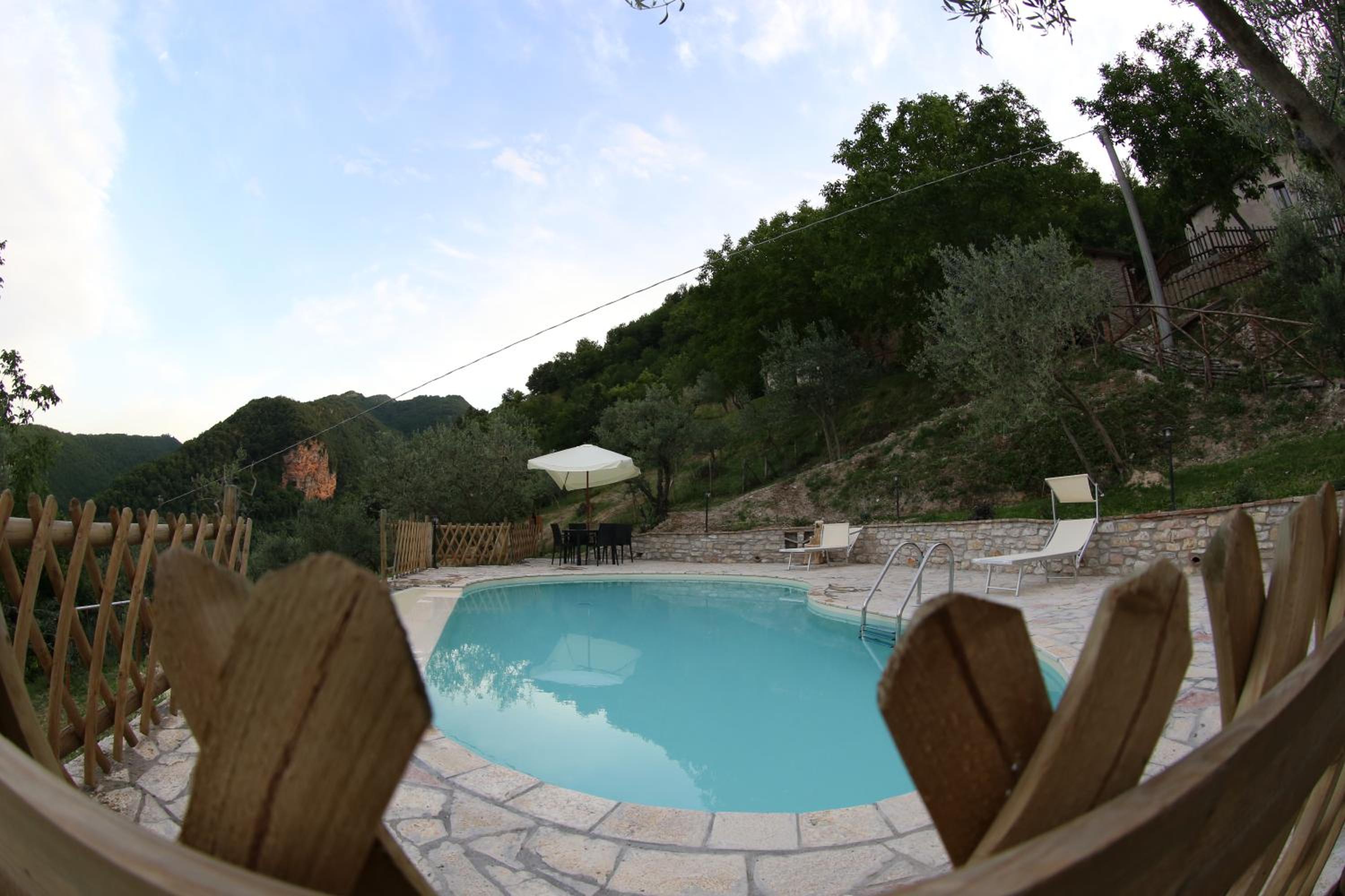 Photo 37