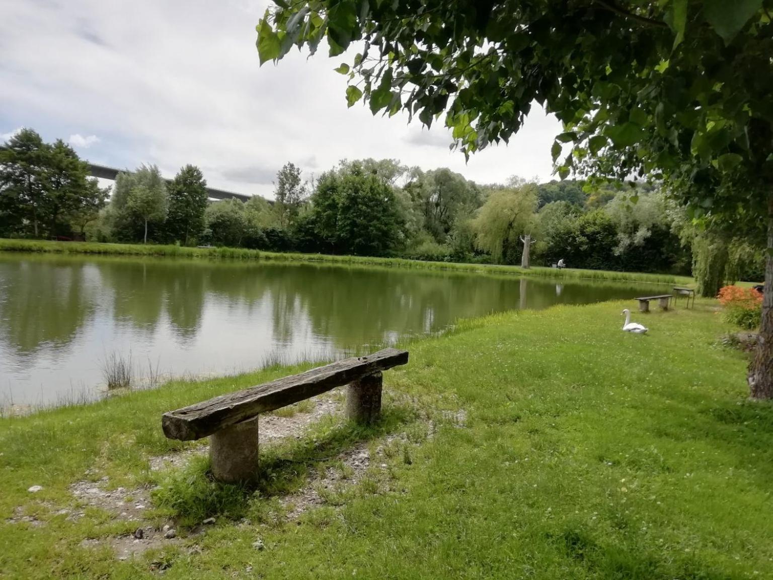 Grange normande XIXe Salon cathédrale & cheminée jardin 5000m 10 pers
