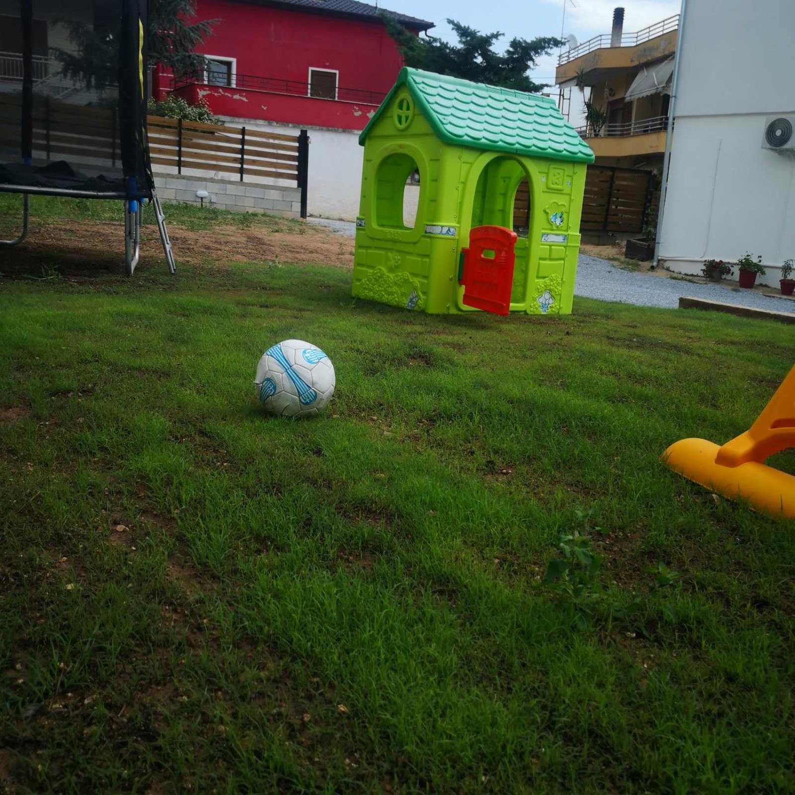 Olive Tree's House view 2