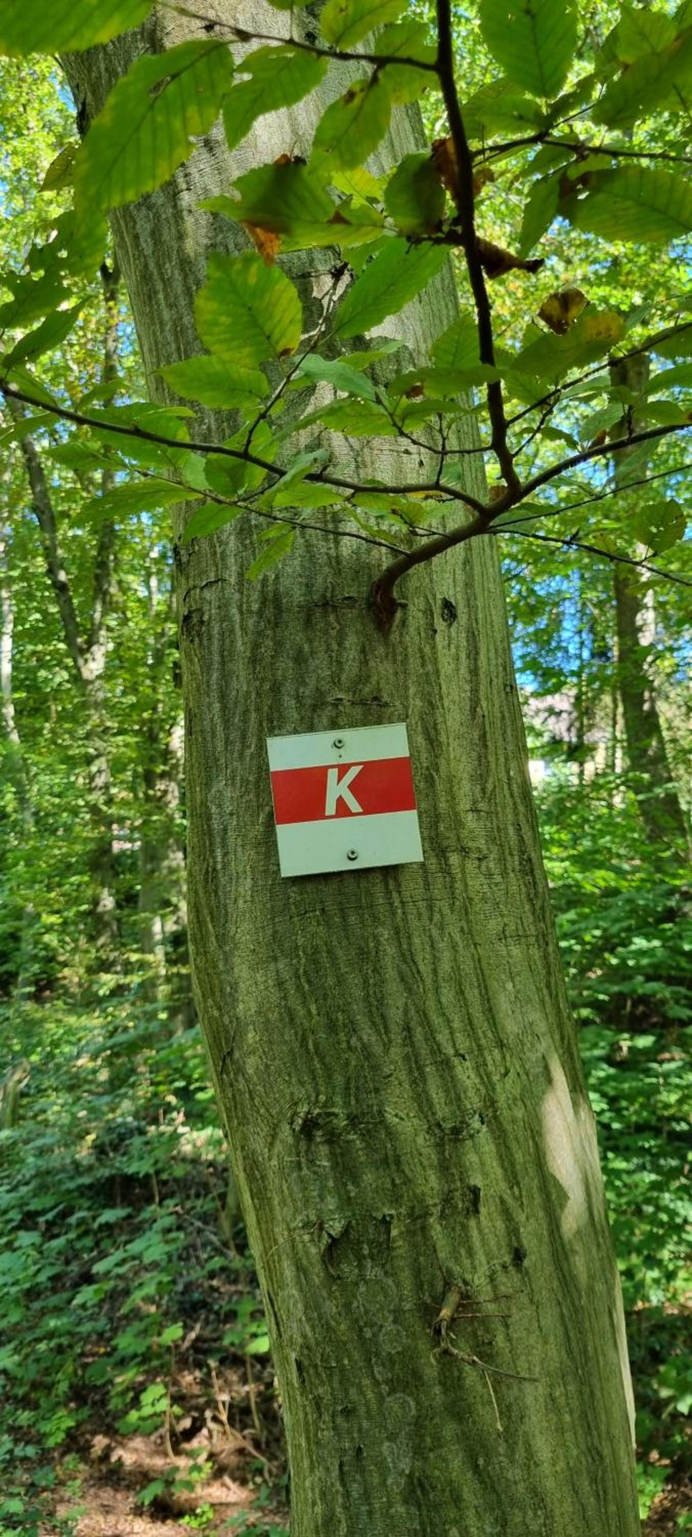 FeWo zur alten Tischlerei