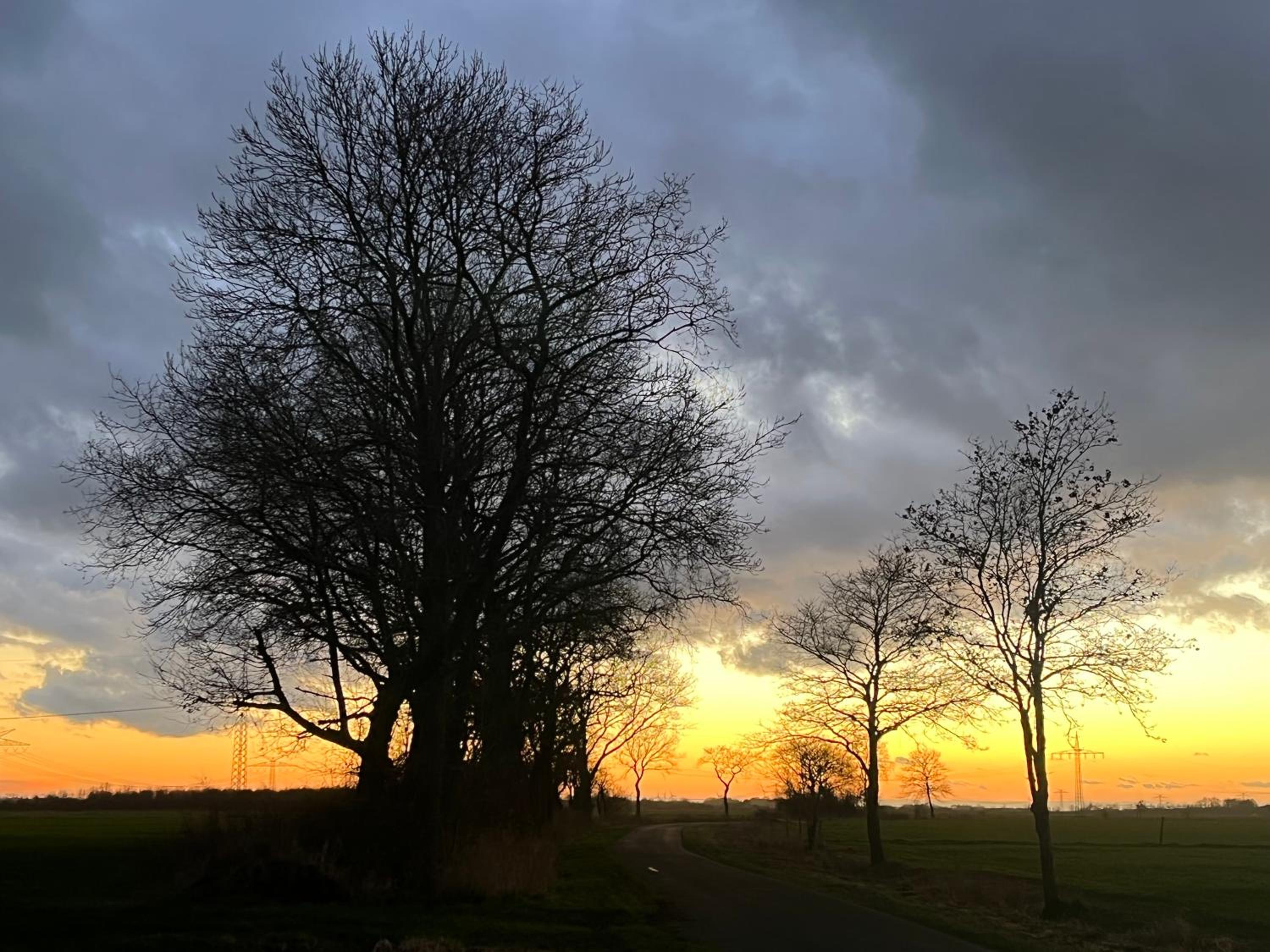 Ferienwohnung Lüttje Huuske Westgrossefehn, photo 26