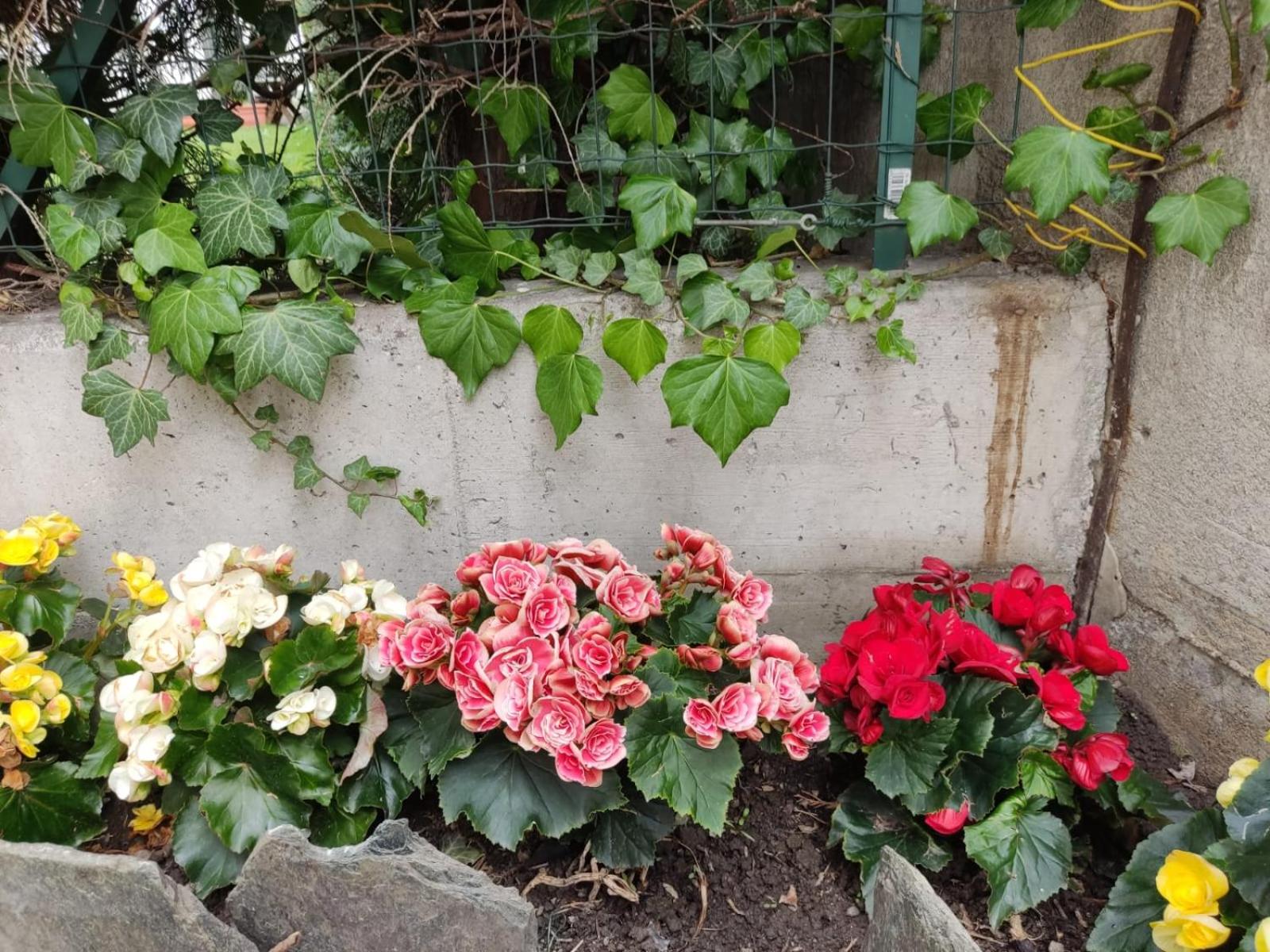 Photo 29