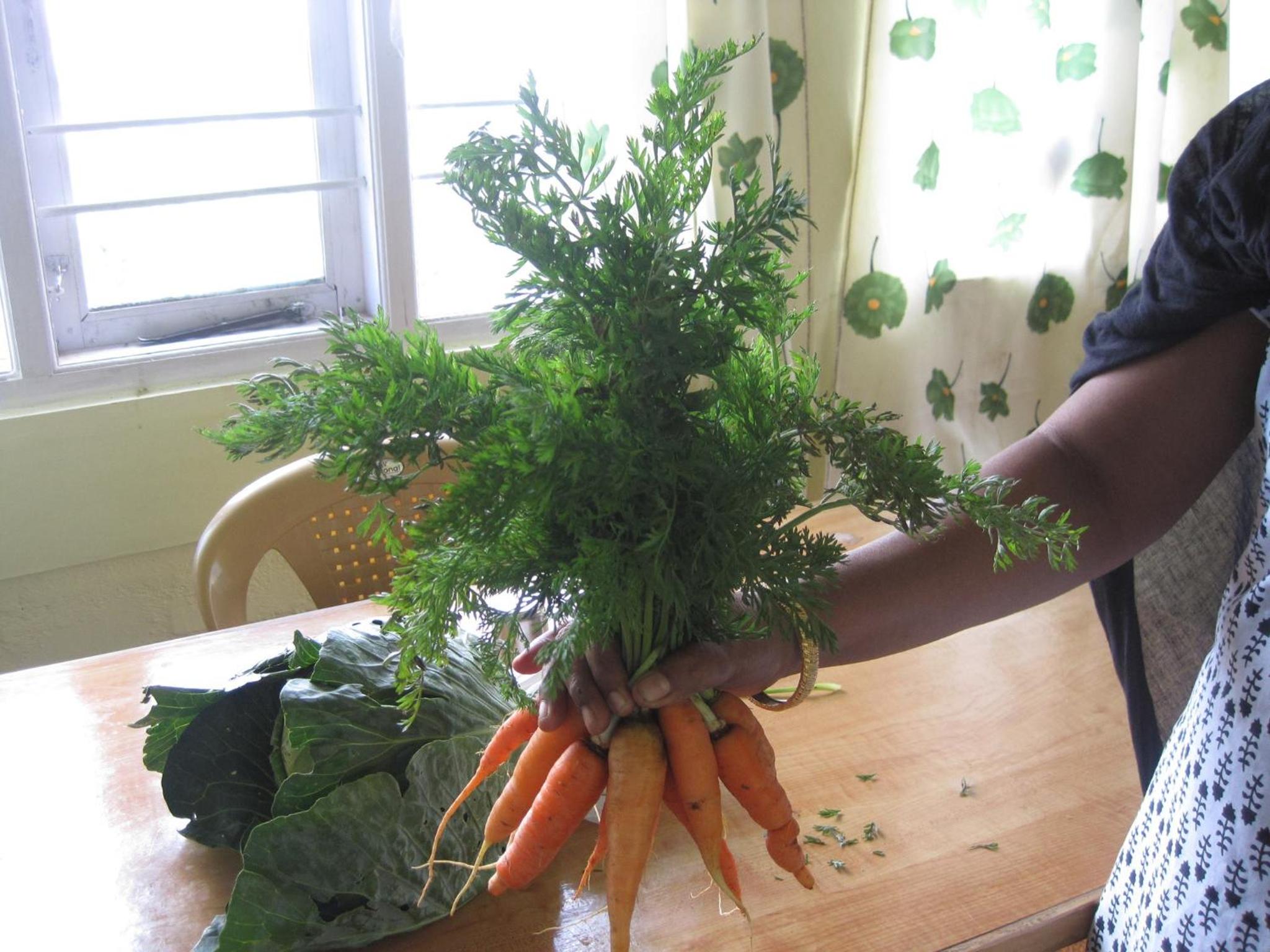Photo 24