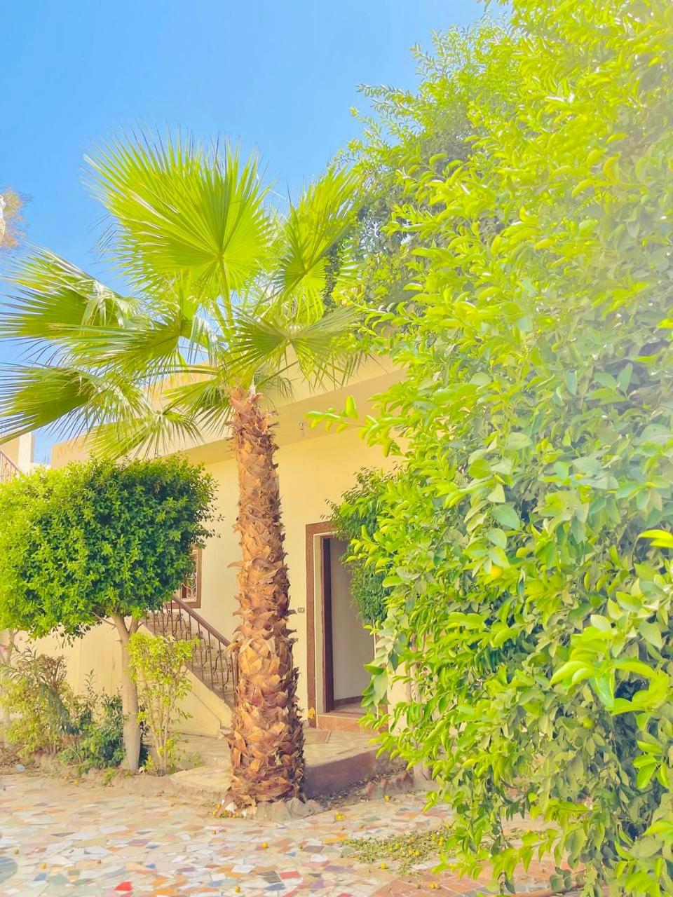Sunset Haven Guesthouse