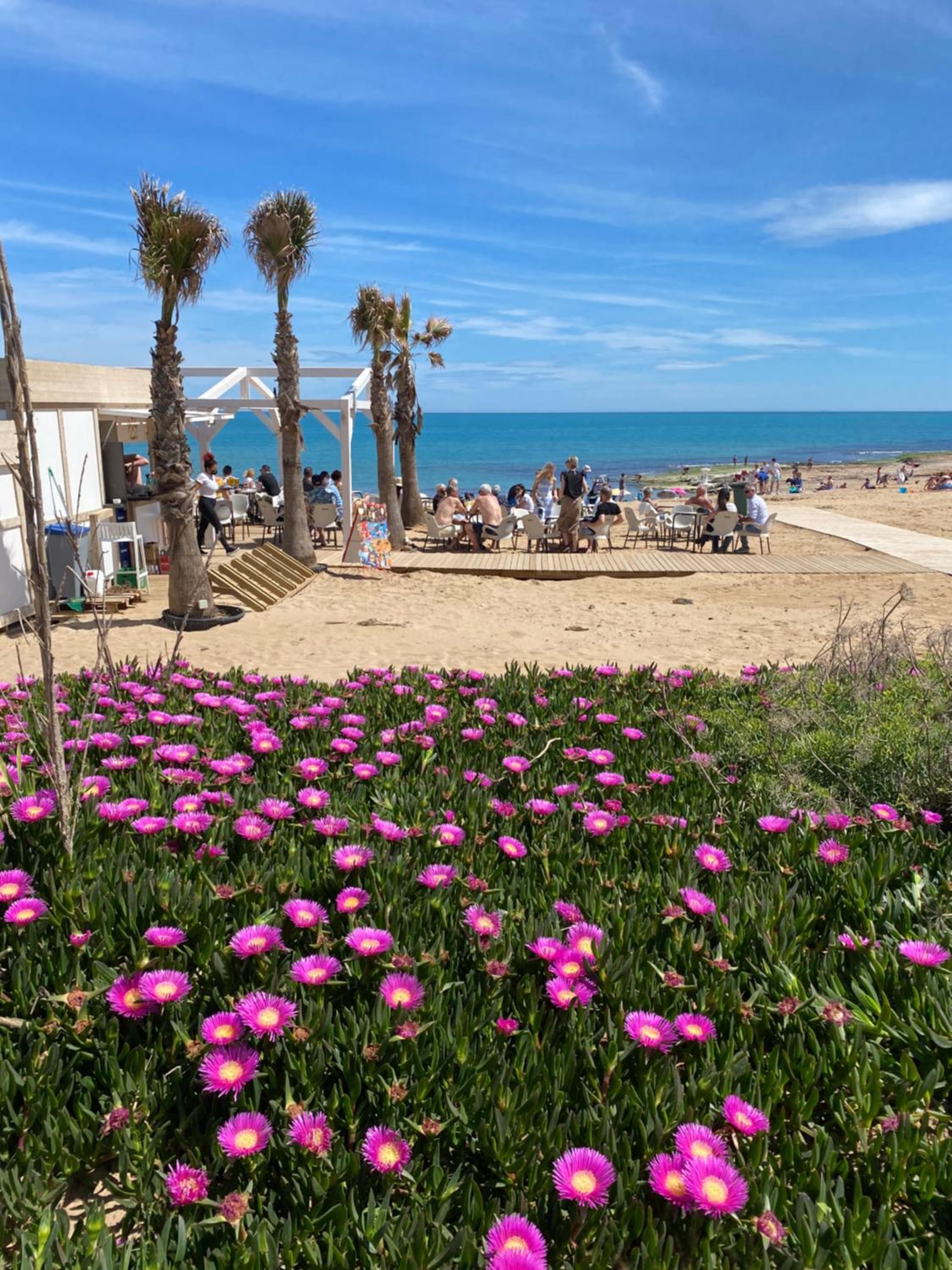 Apartamentos con piscina y vistas al mar-La Mata