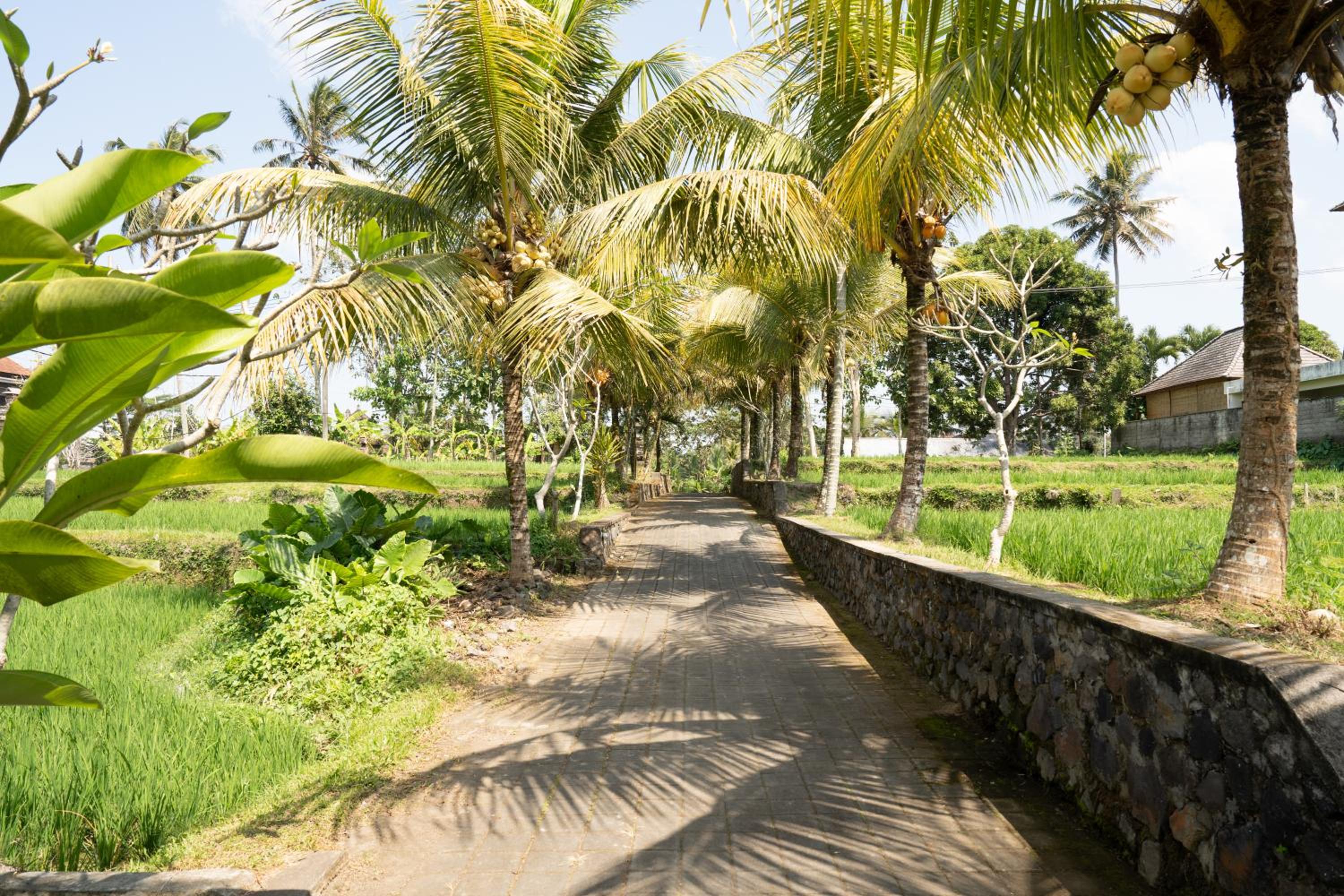 The Sakara Ubud Villas