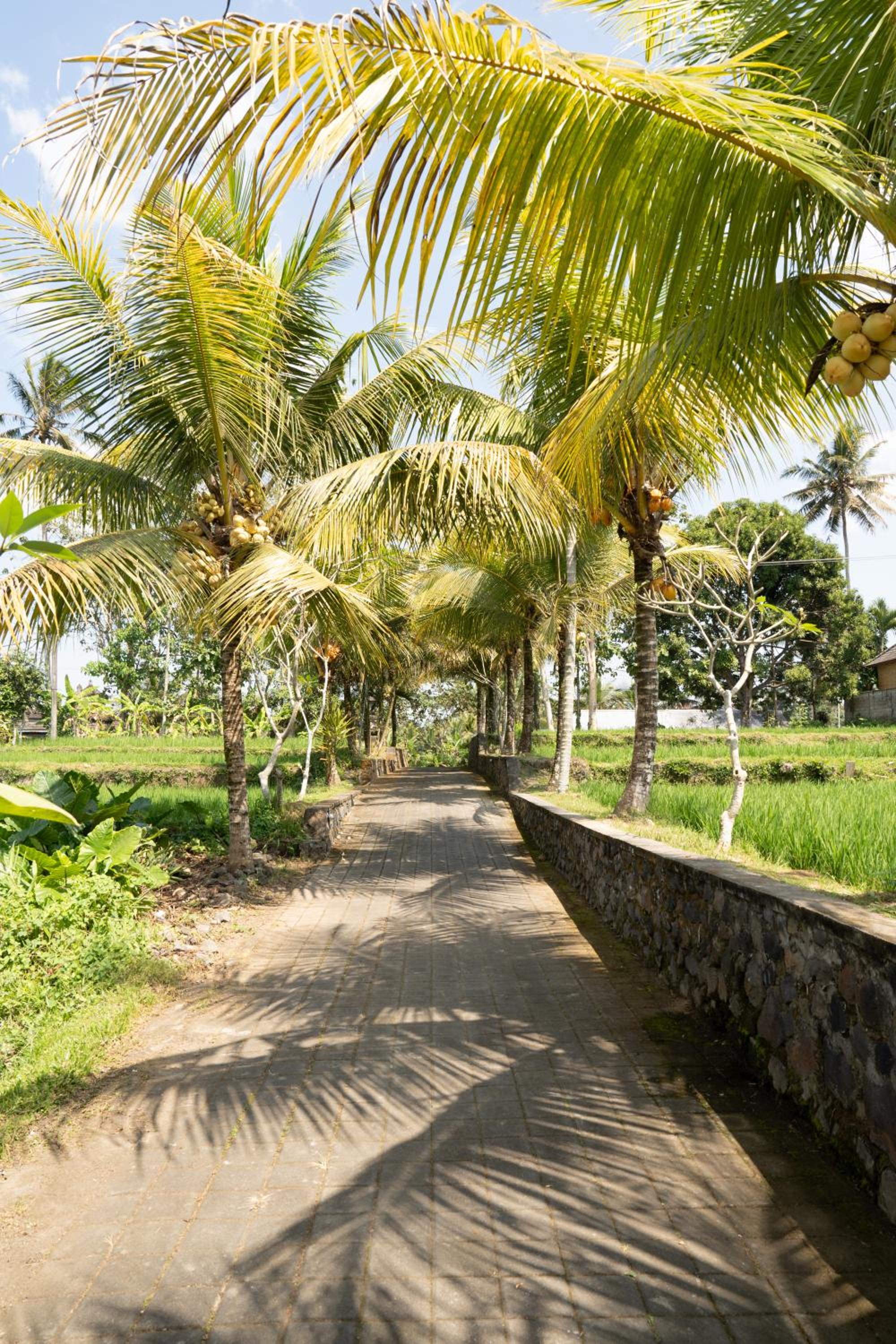The Sakara Ubud Villas