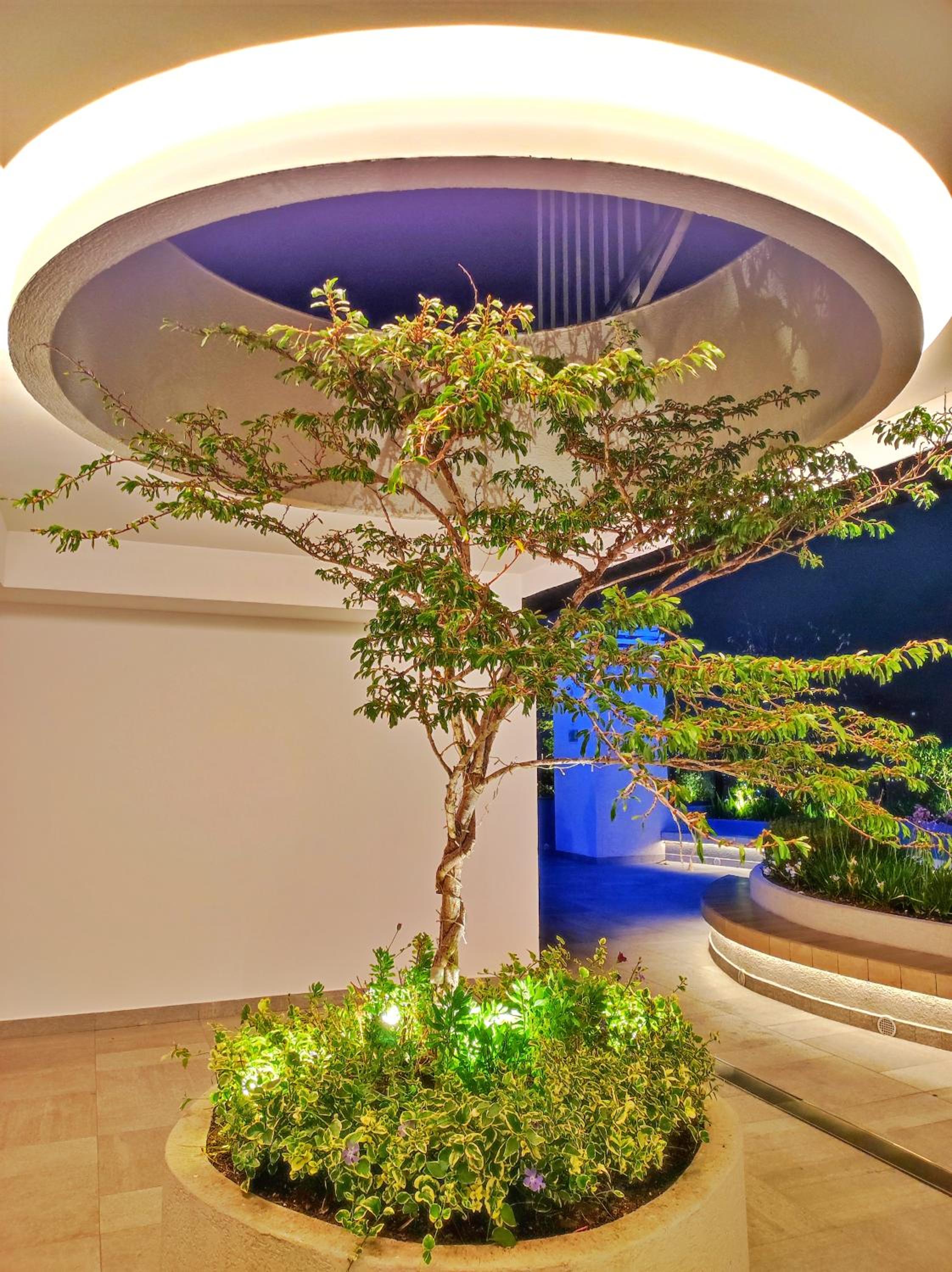 Edificio Vida Luxury Residences Coliving Ecuador Quito Carolina