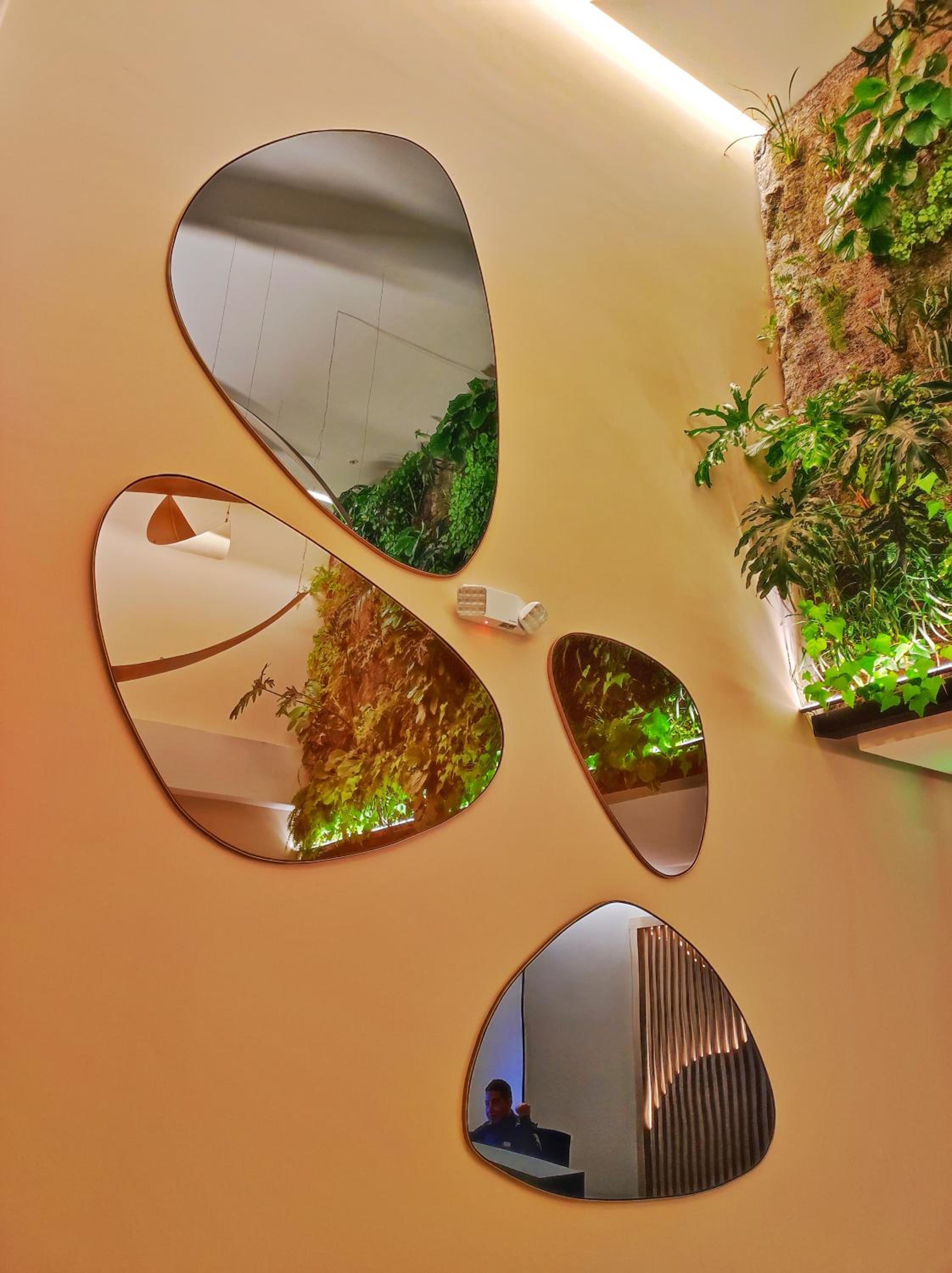 Edificio Vida Luxury Residences Coliving Ecuador Quito Carolina