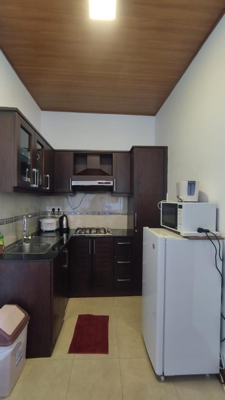 Skylight Apartment view 4
