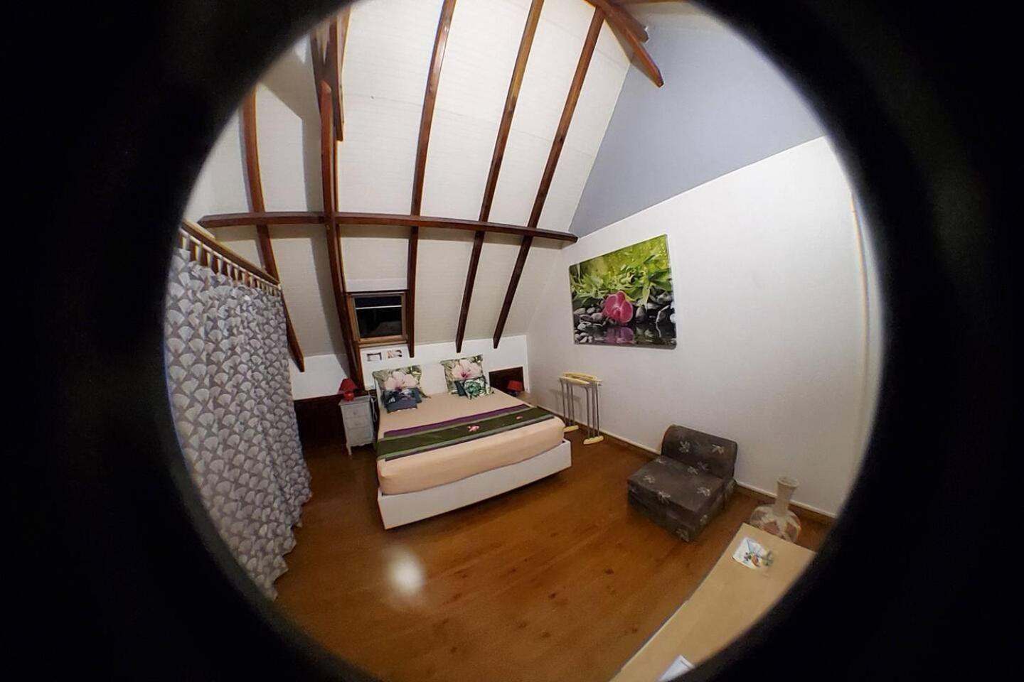 Appartement "Au Cœur du Parc Tropical" view 5