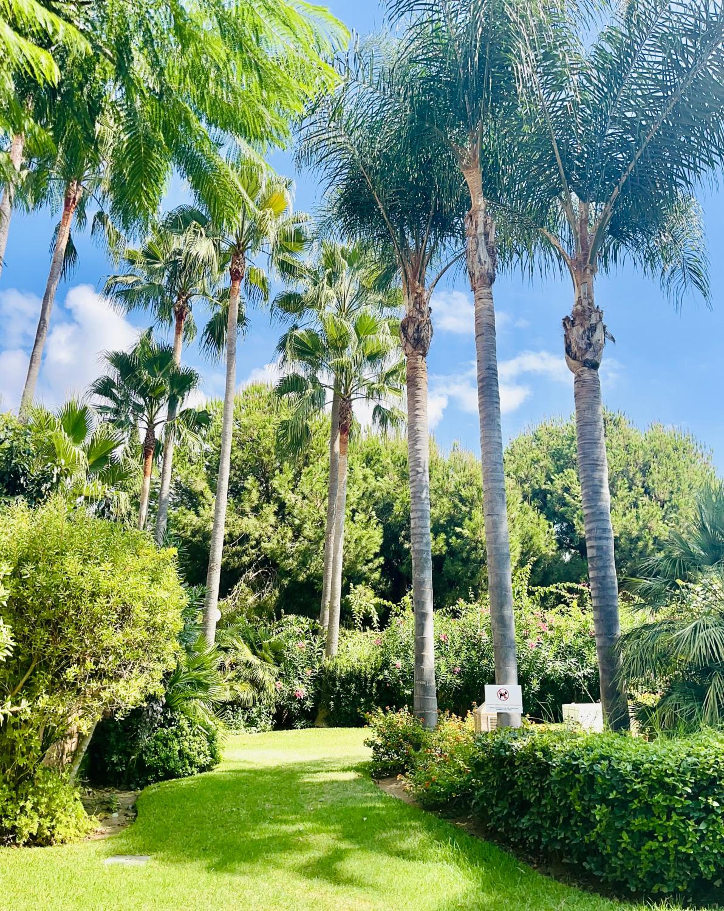 Beach apartment two bedrooms in Cabopino Marbella