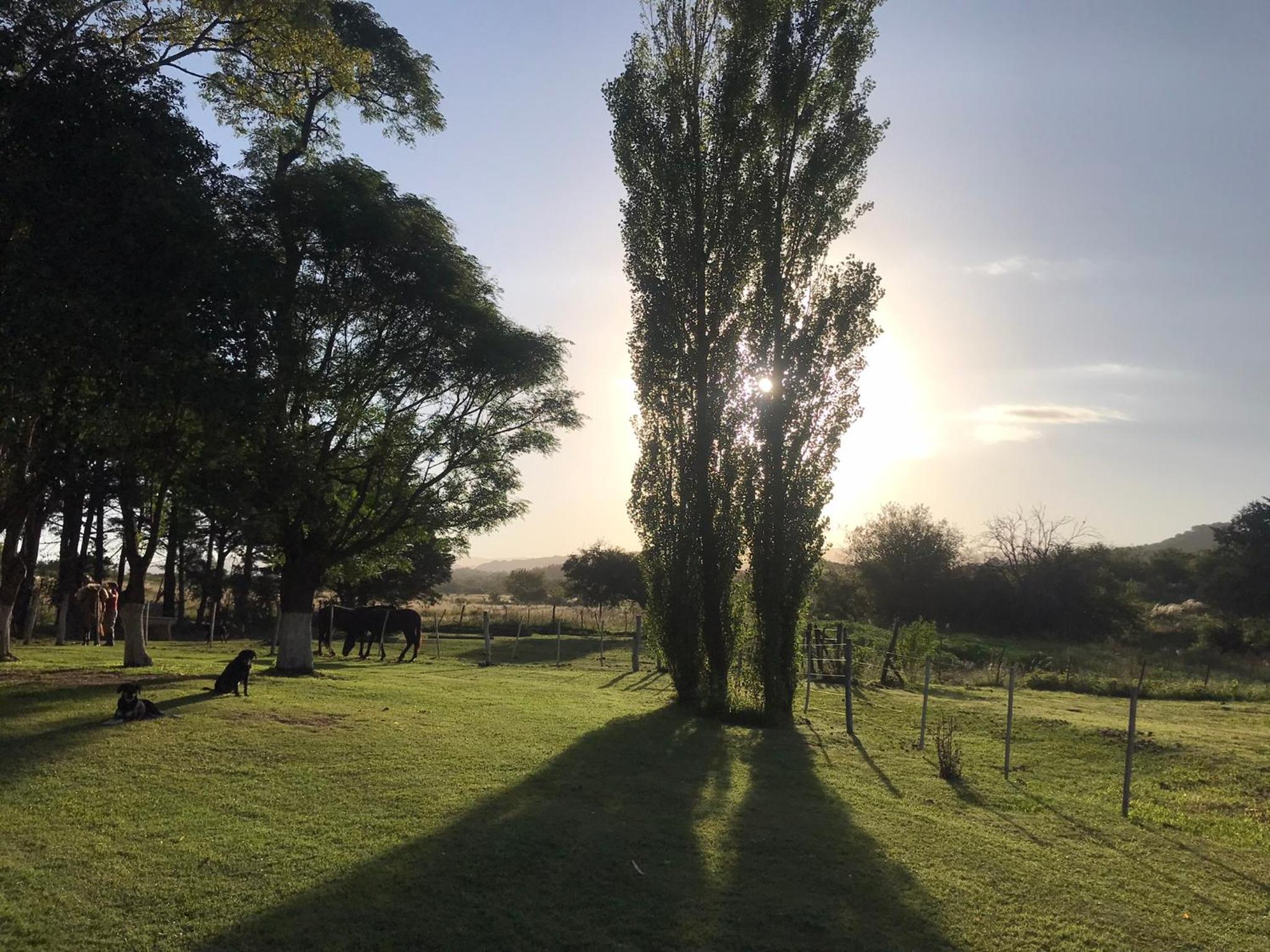Campo Las Marias
