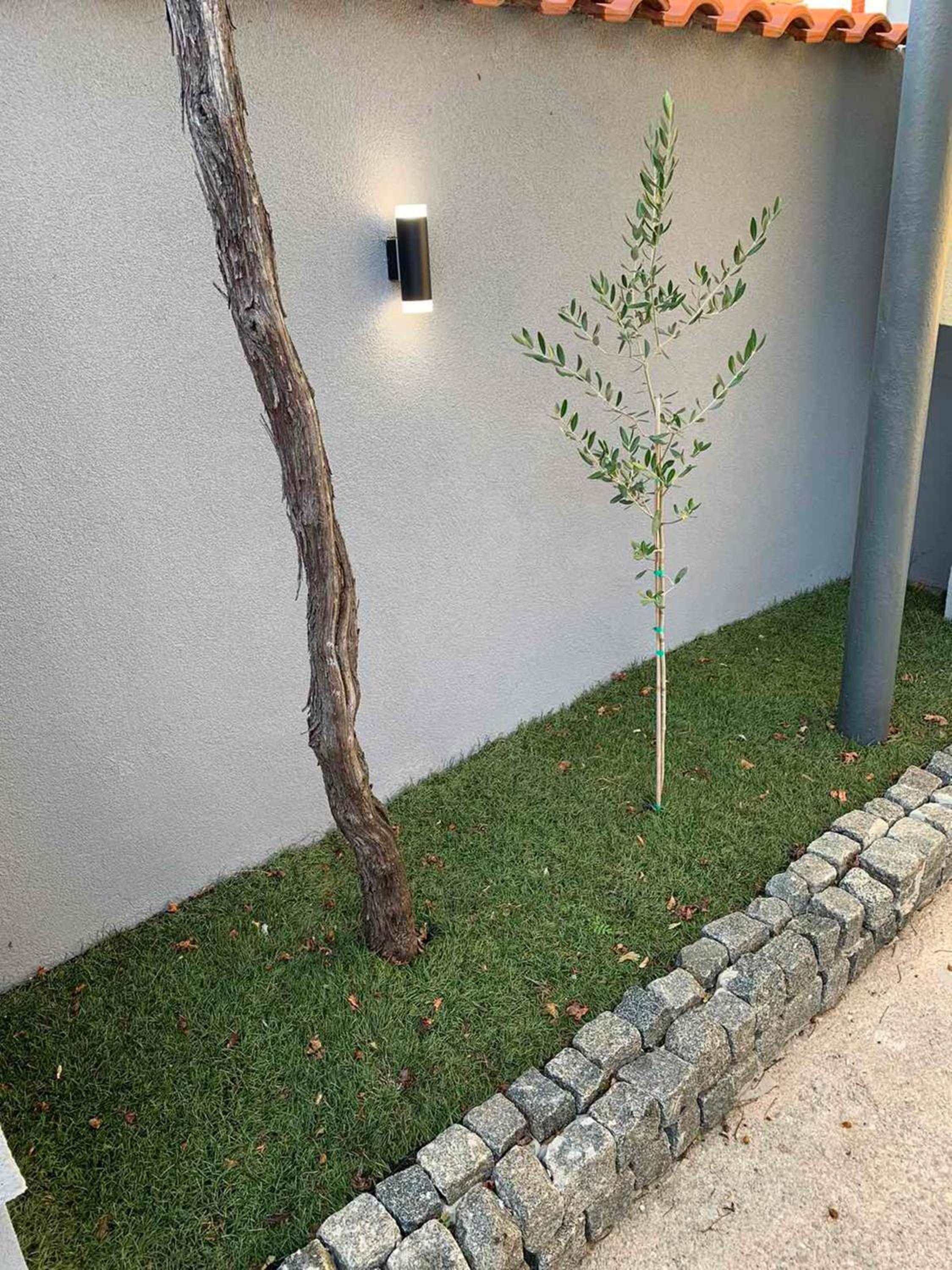 Villa Philia