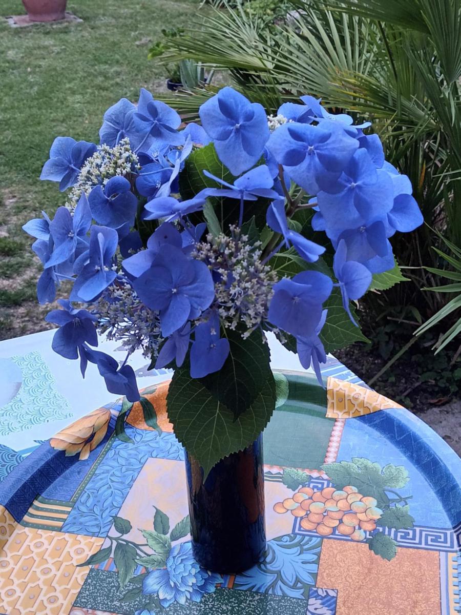 Photo 26